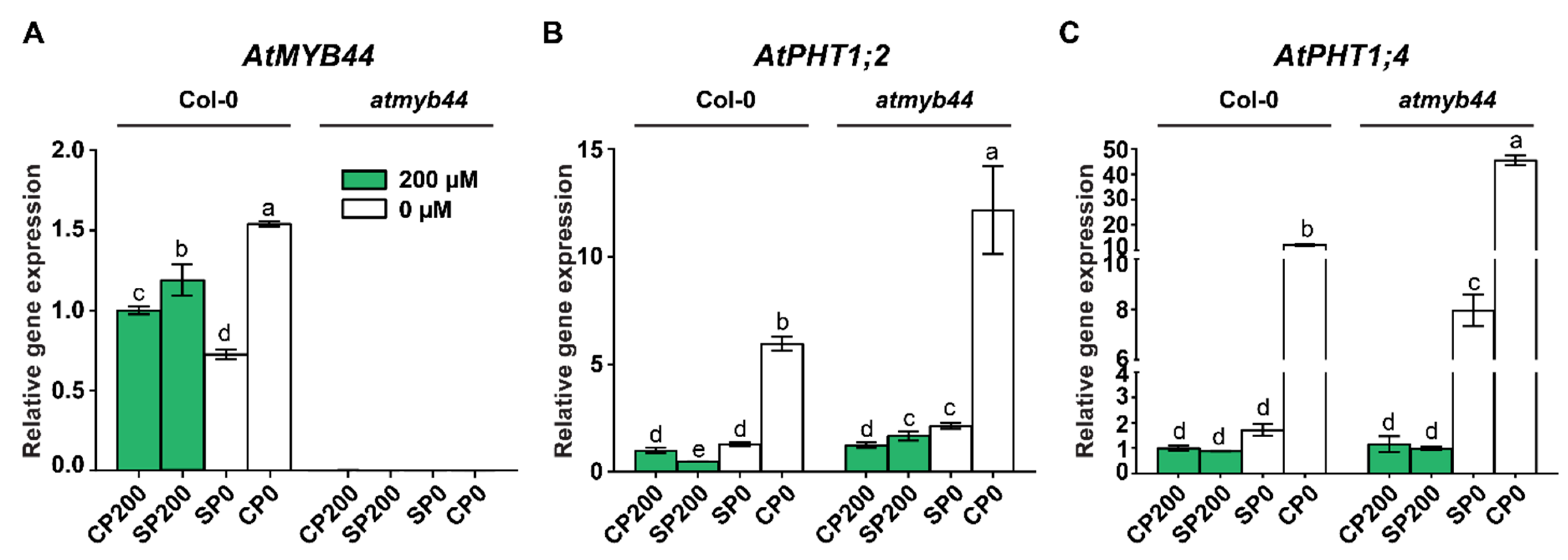 Preprints 82415 g006