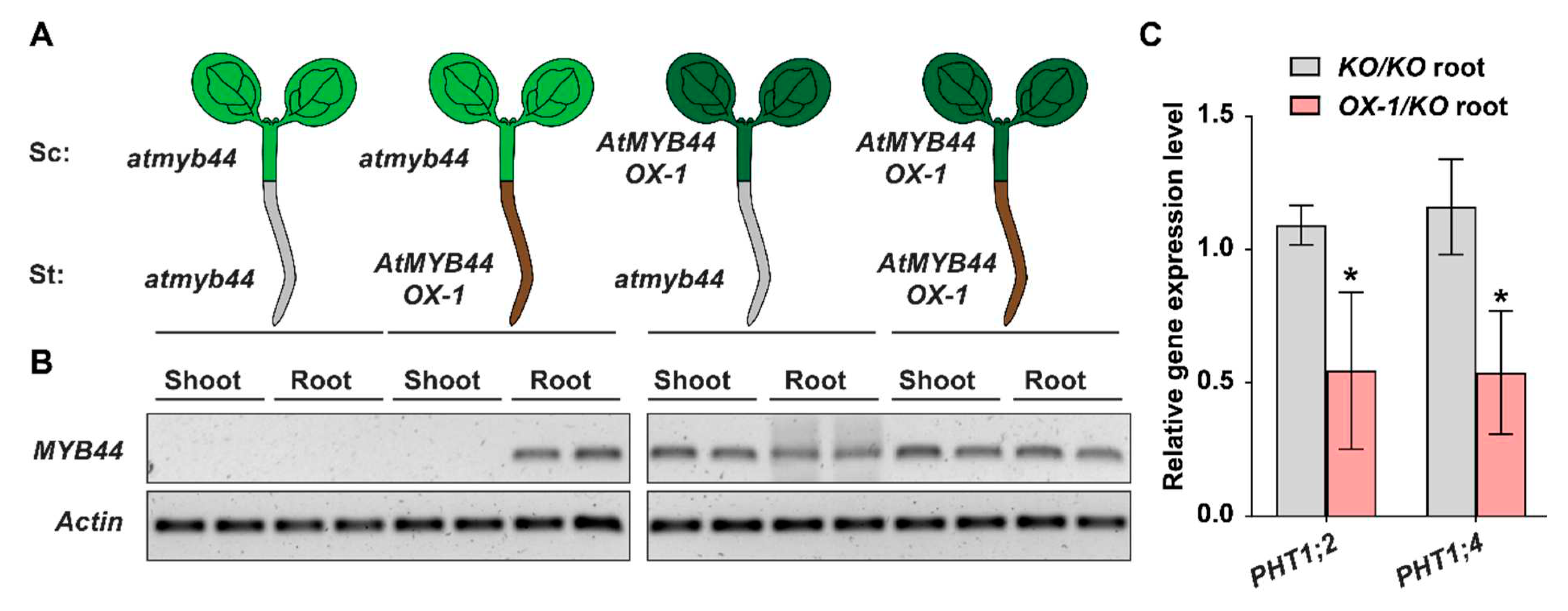 Preprints 82415 g007