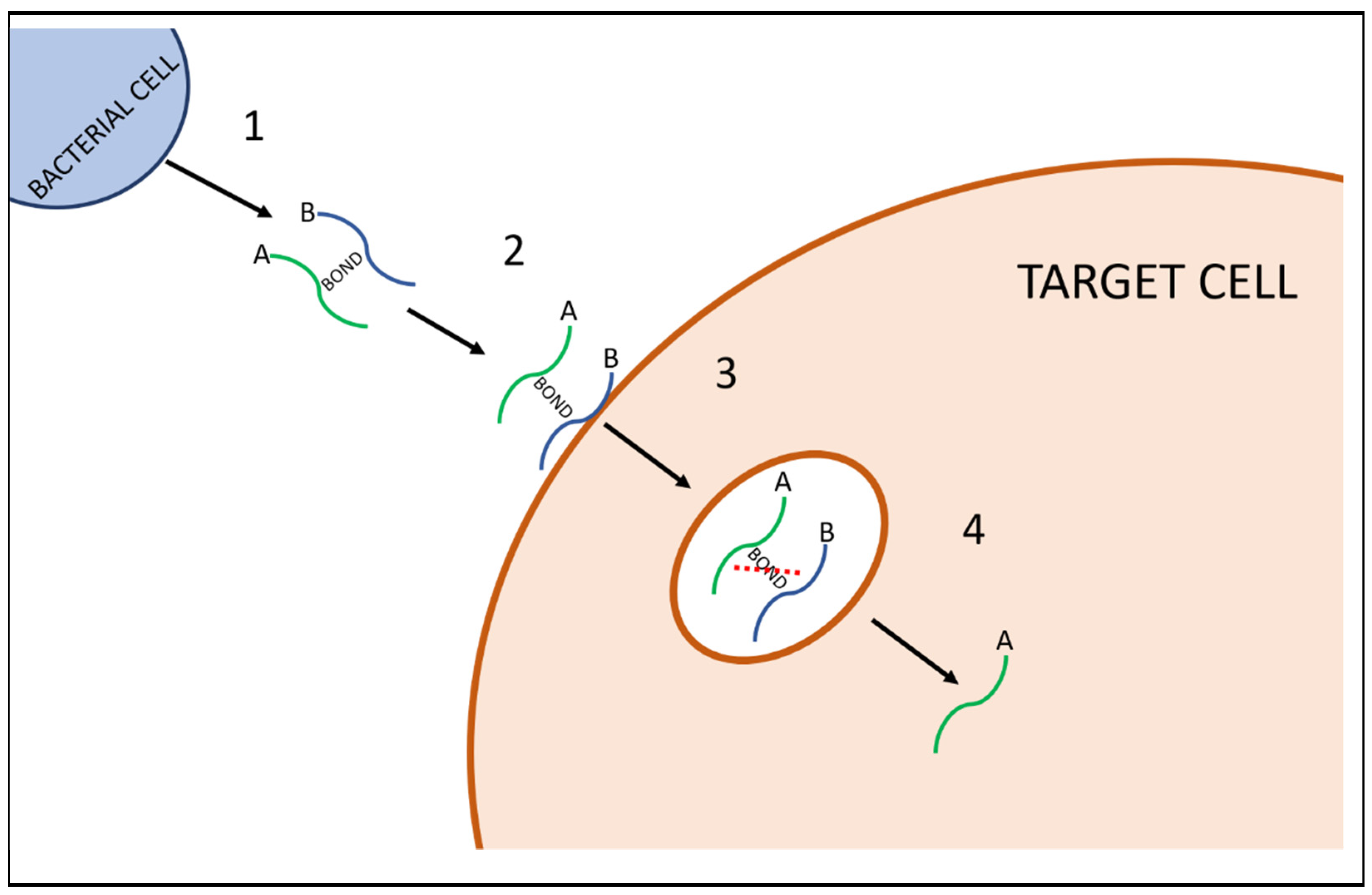 Preprints 77090 g001