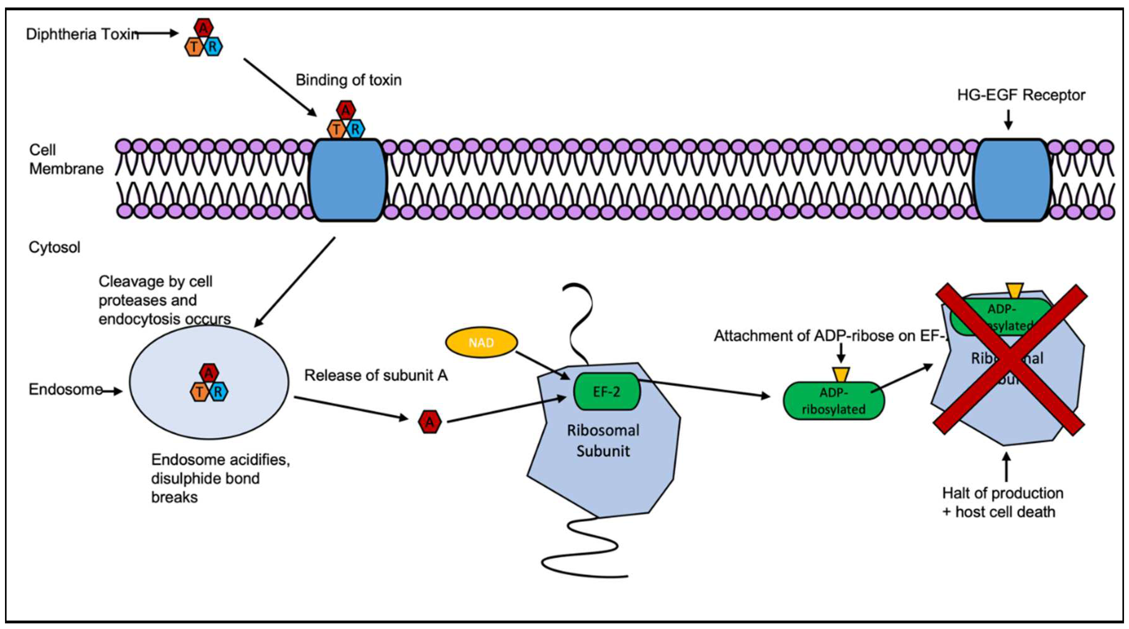 Preprints 77090 g002