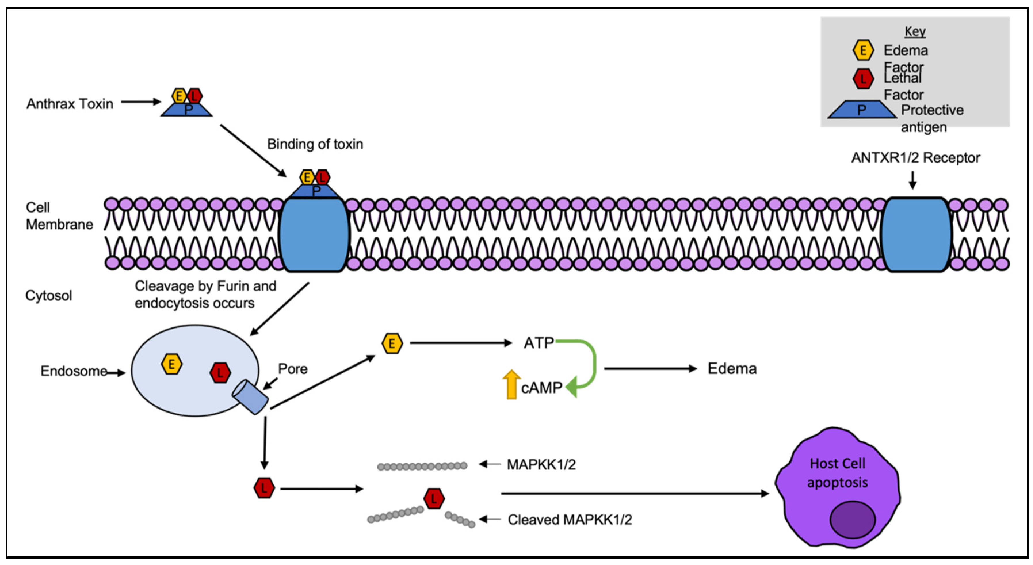 Preprints 77090 g003