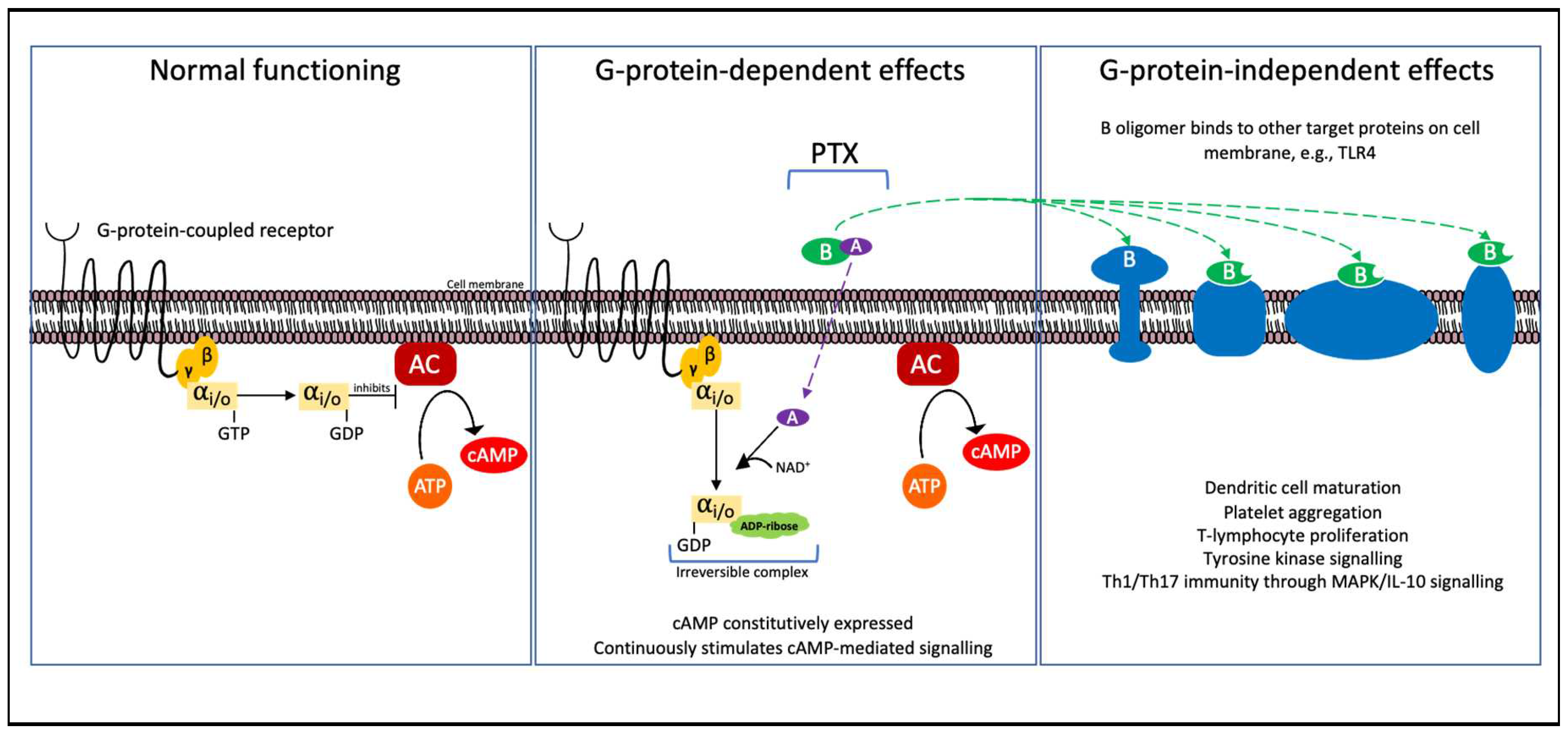 Preprints 77090 g007