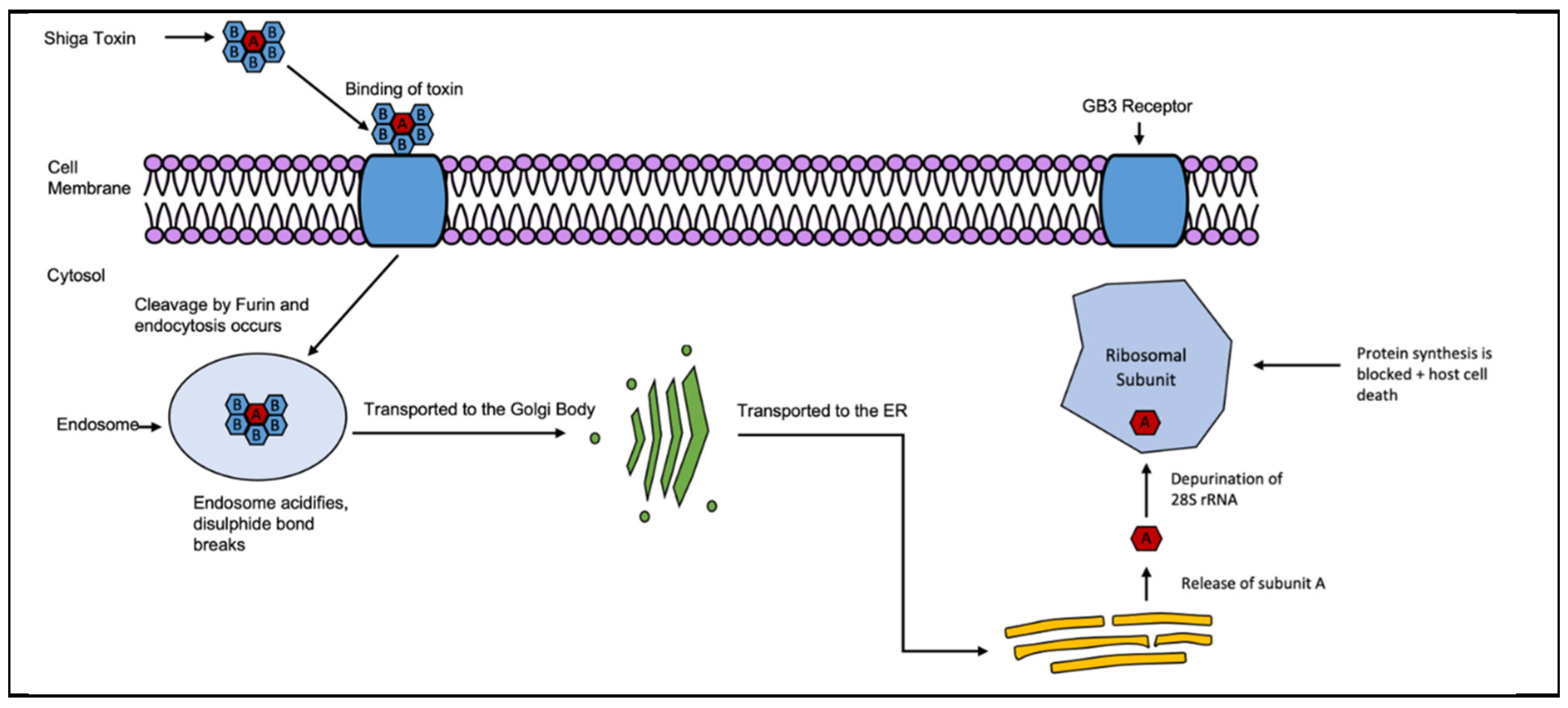 Preprints 77090 g008