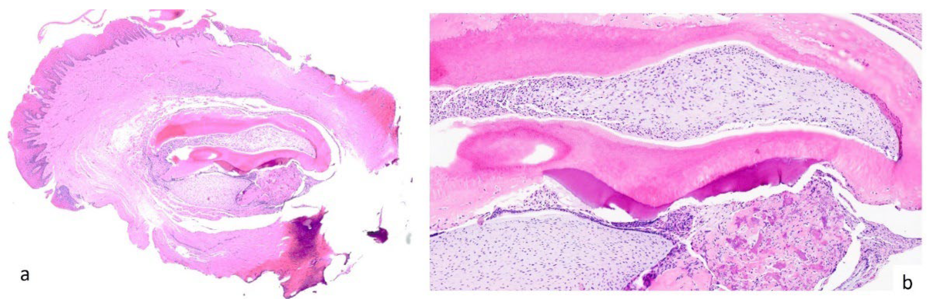 Preprints 100113 g003