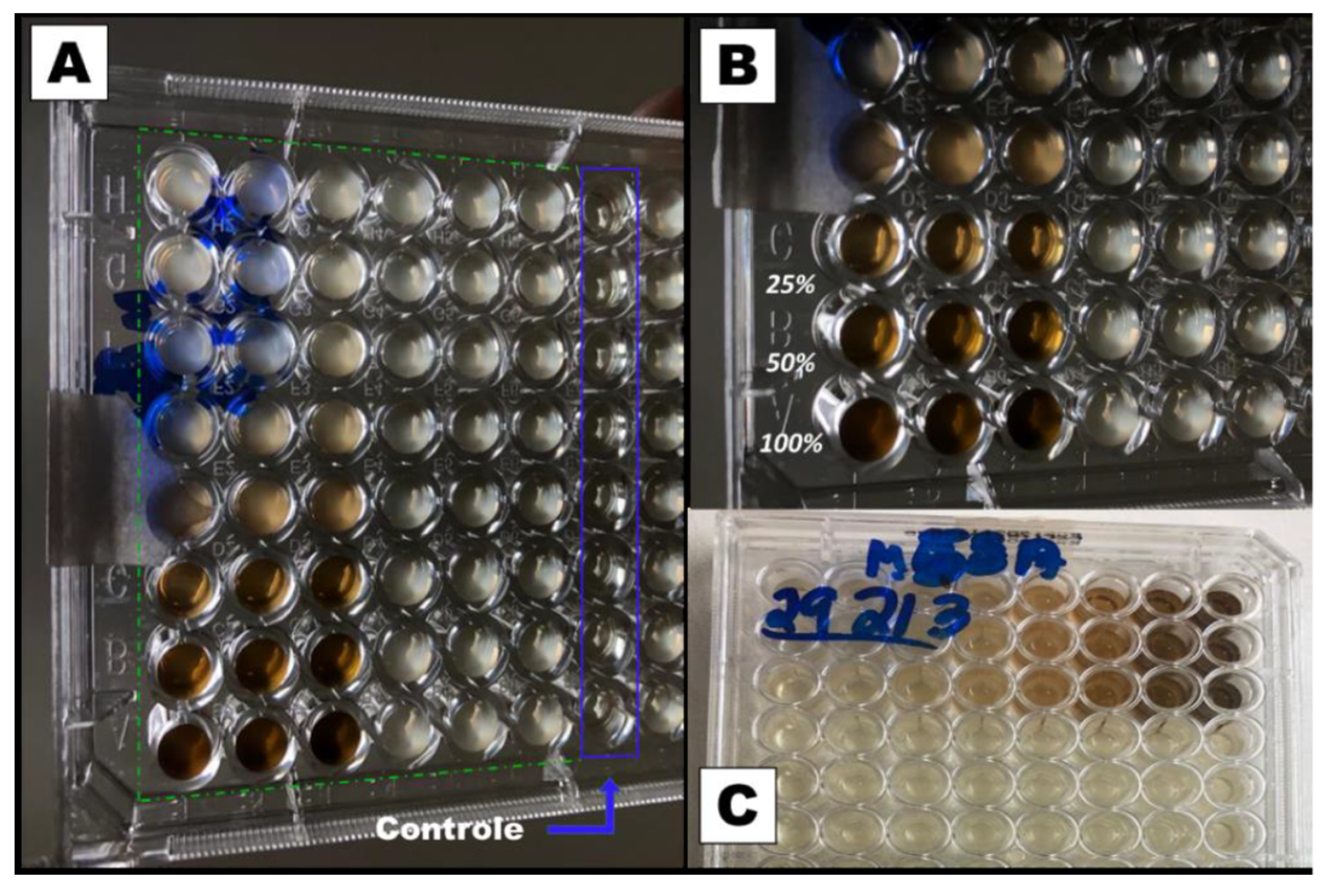 Preprints 68795 g002