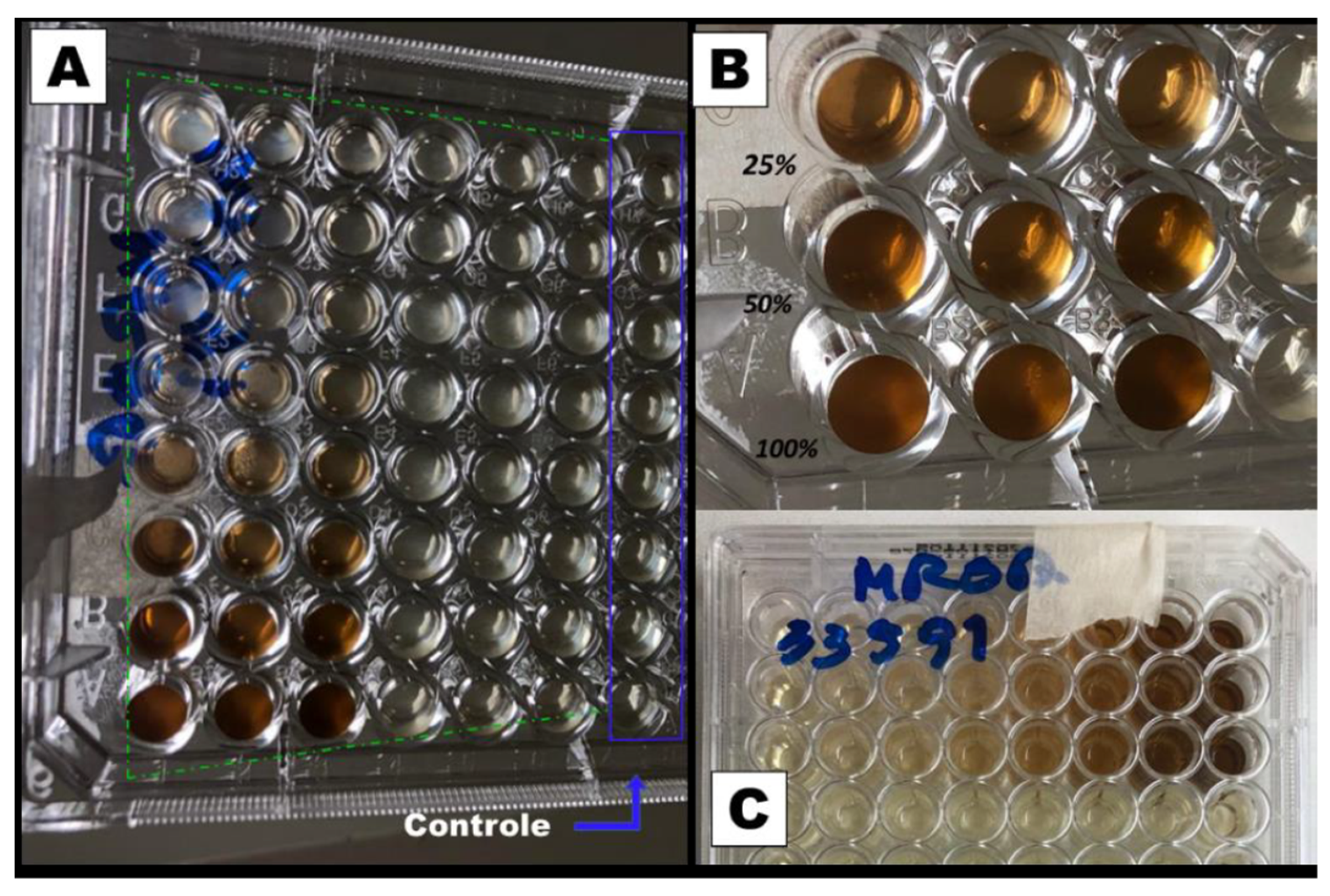 Preprints 68795 g003