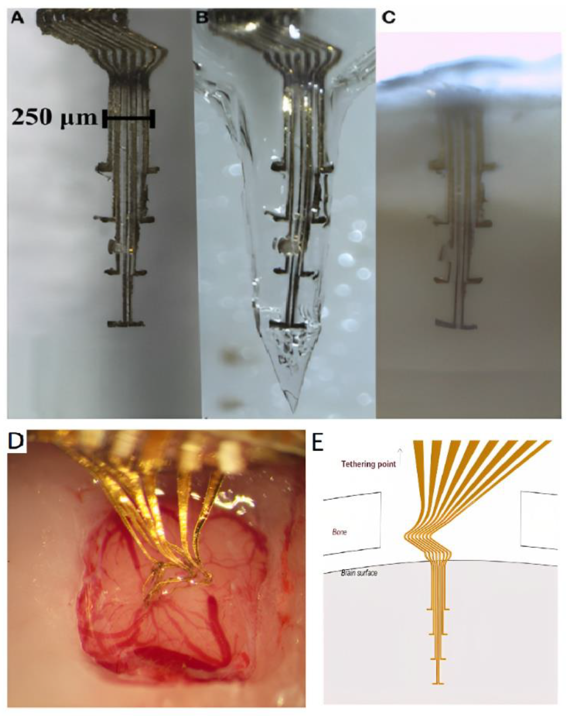 Preprints 69680 g005