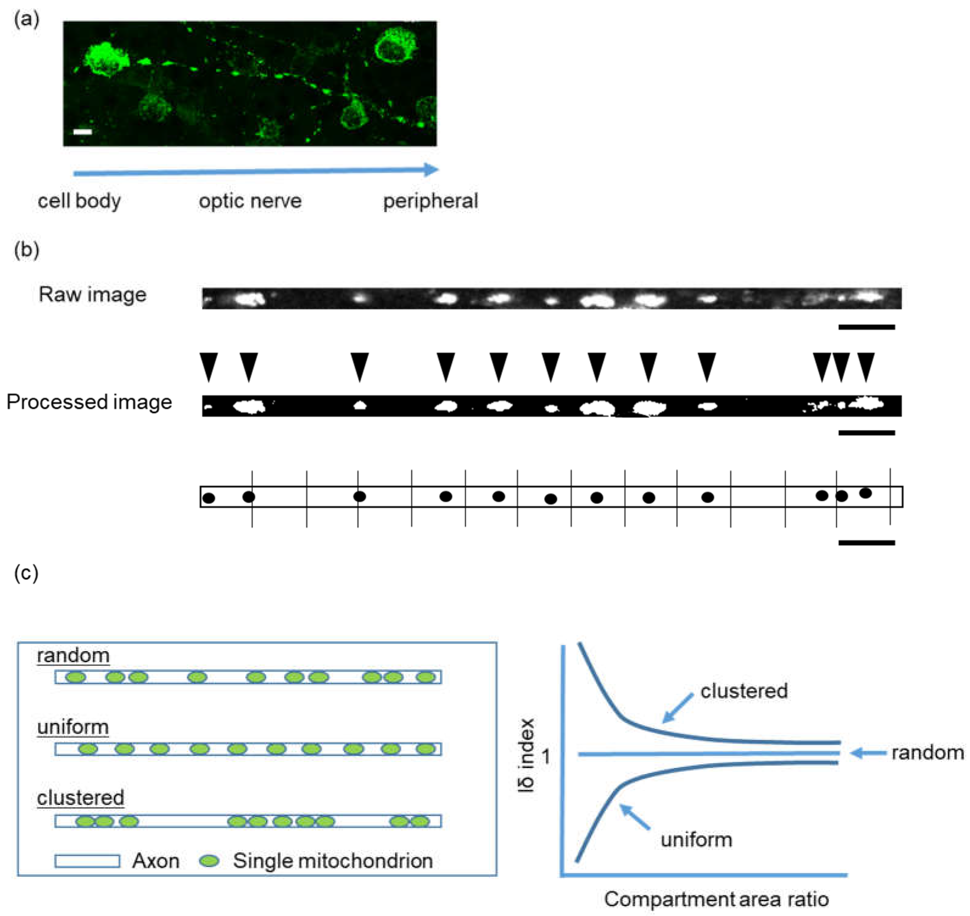 Preprints 67933 g001