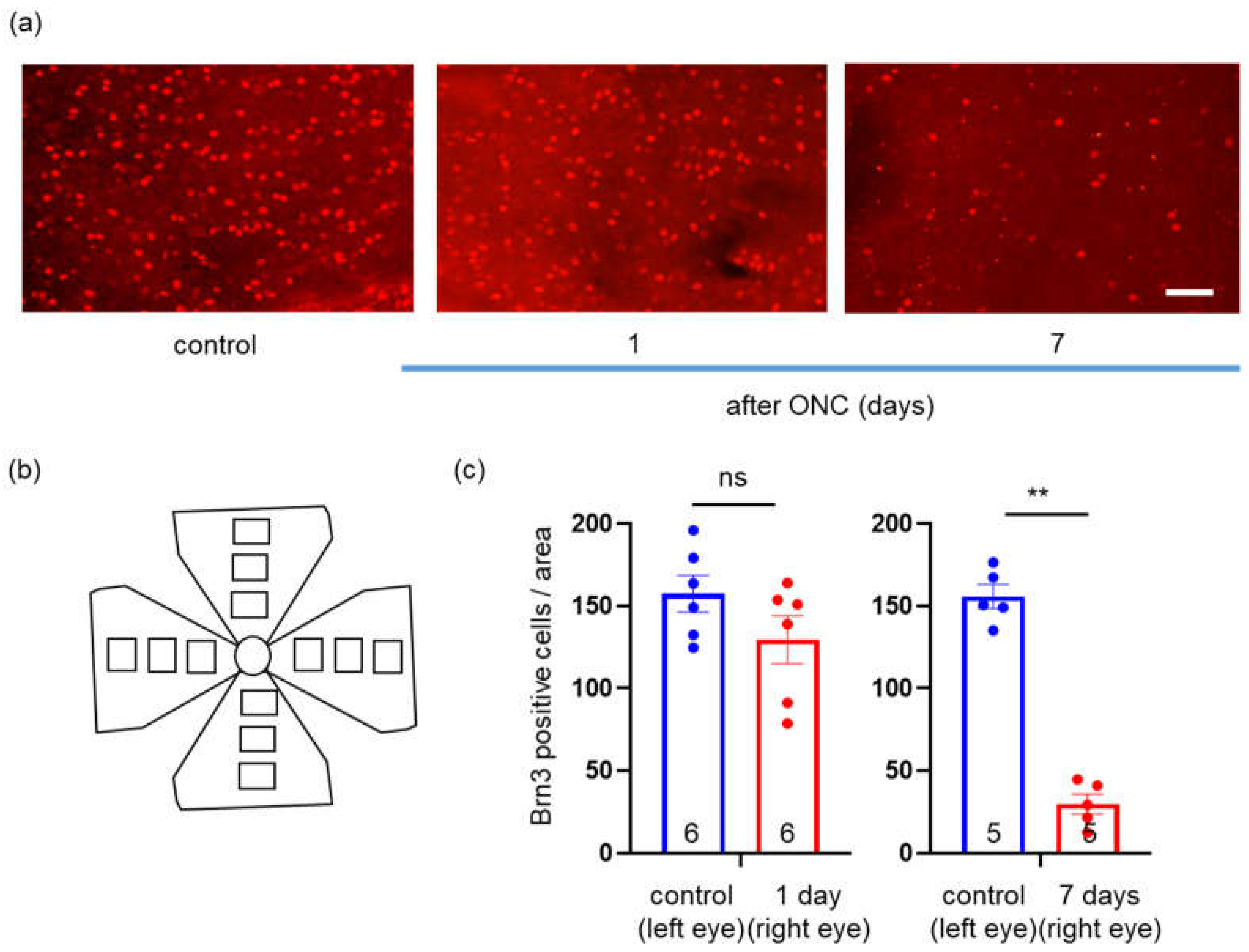 Preprints 67933 g002