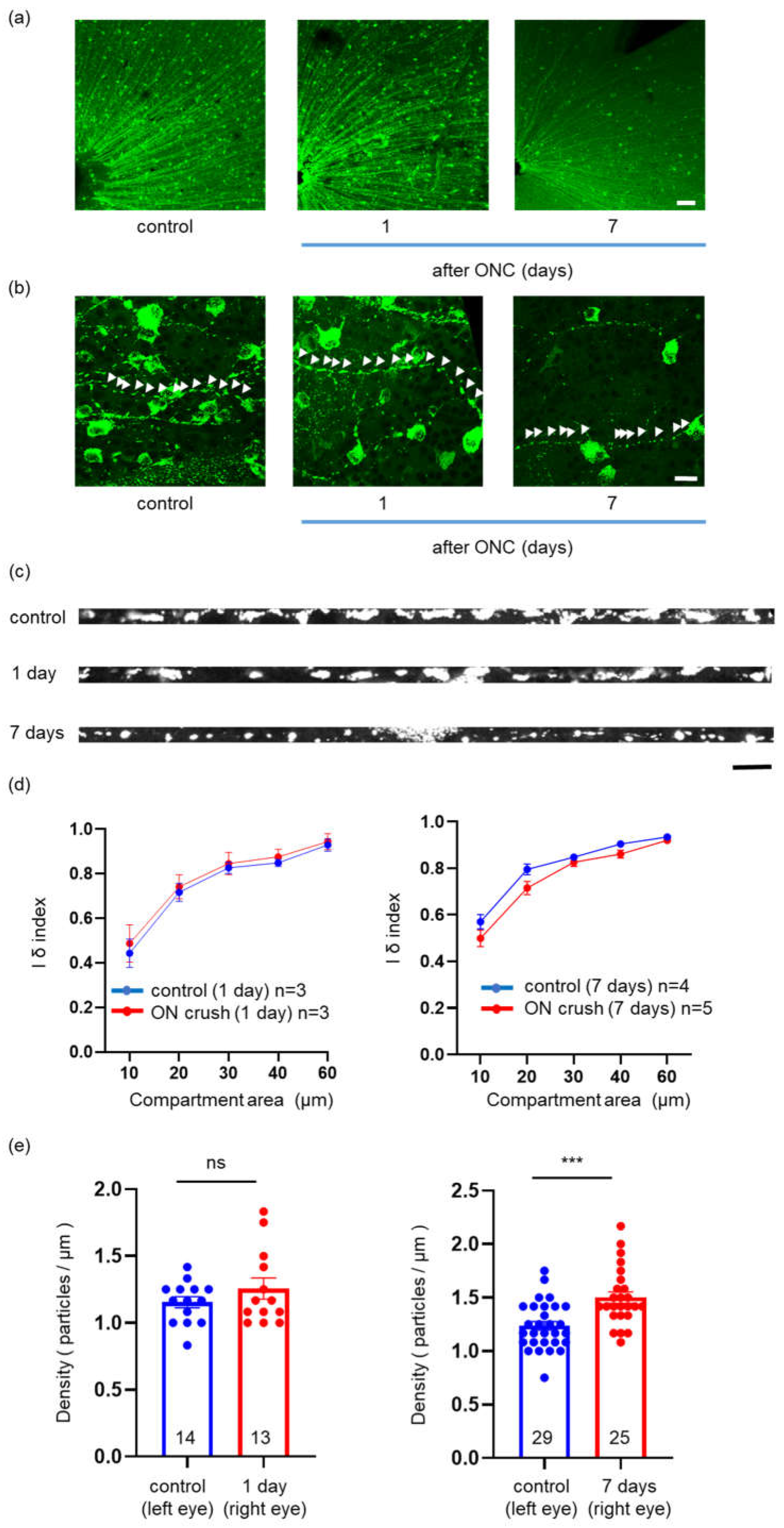 Preprints 67933 g003a