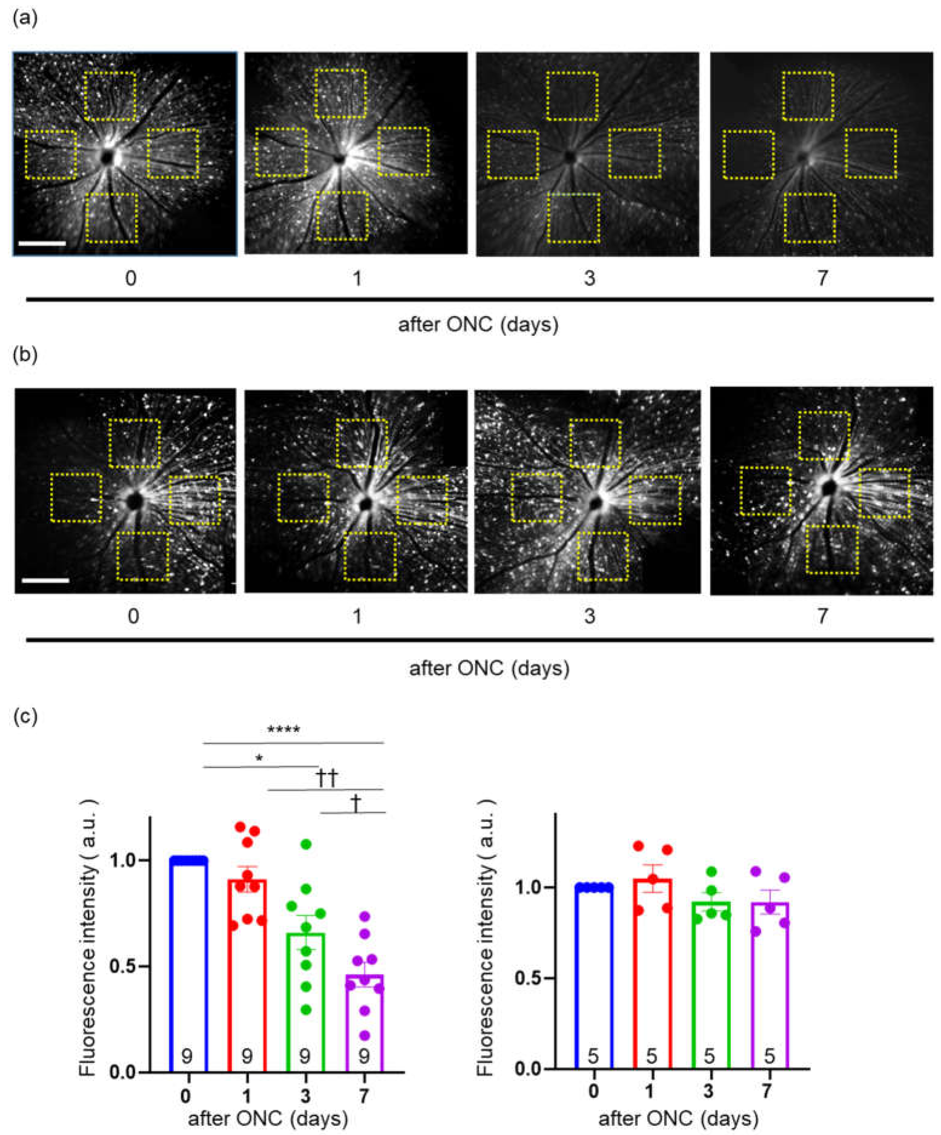 Preprints 67933 g004