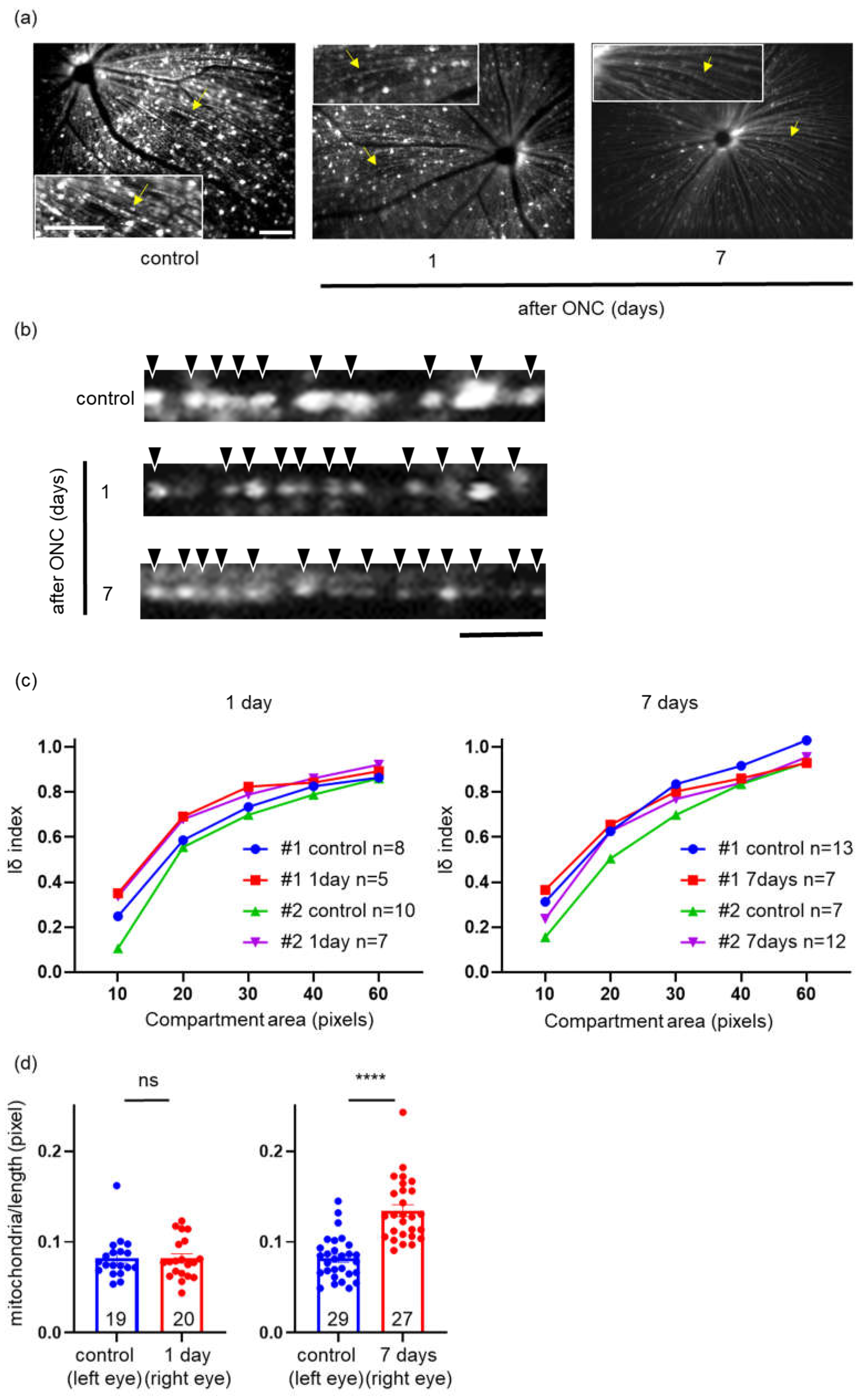 Preprints 67933 g005