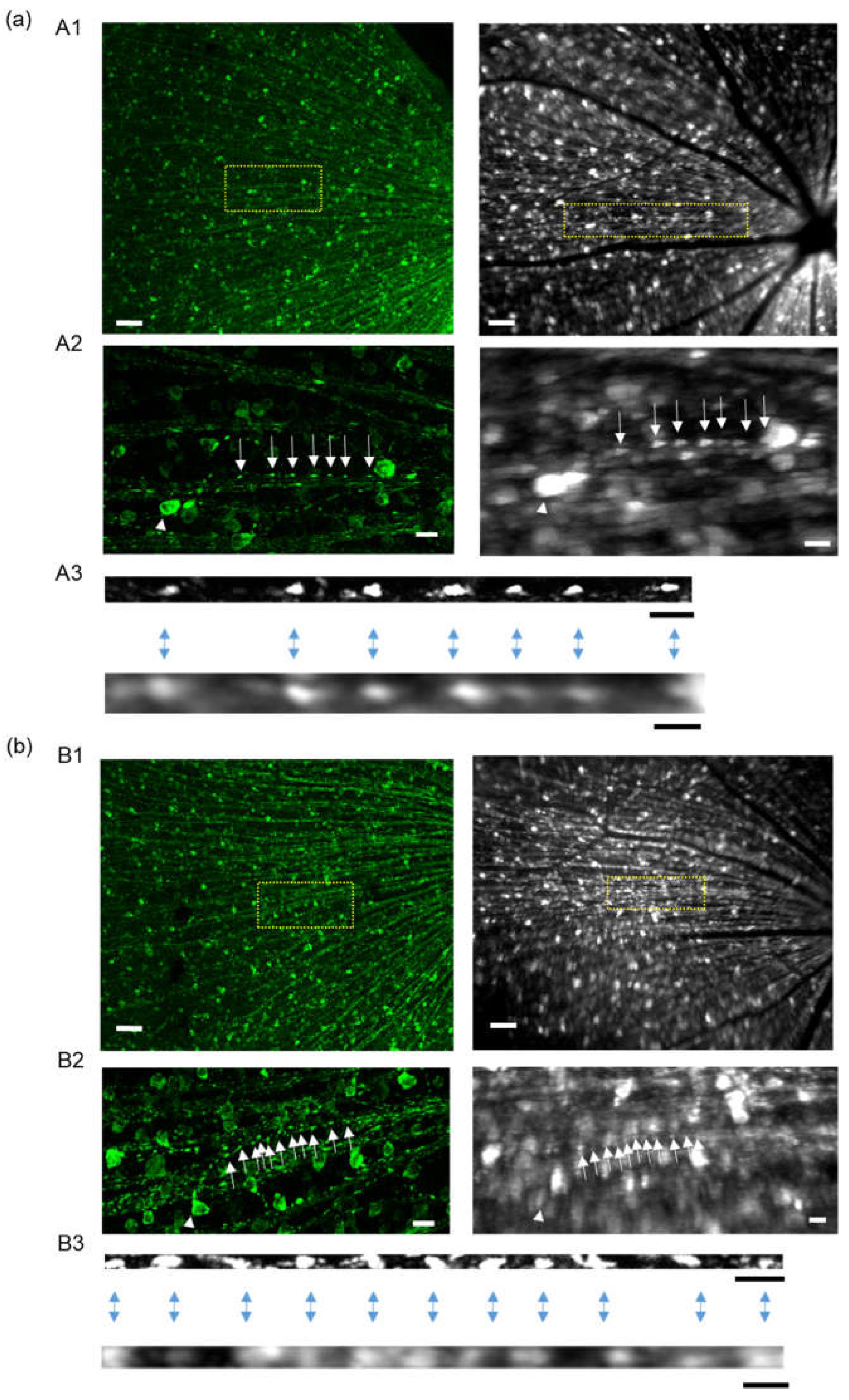 Preprints 67933 g006