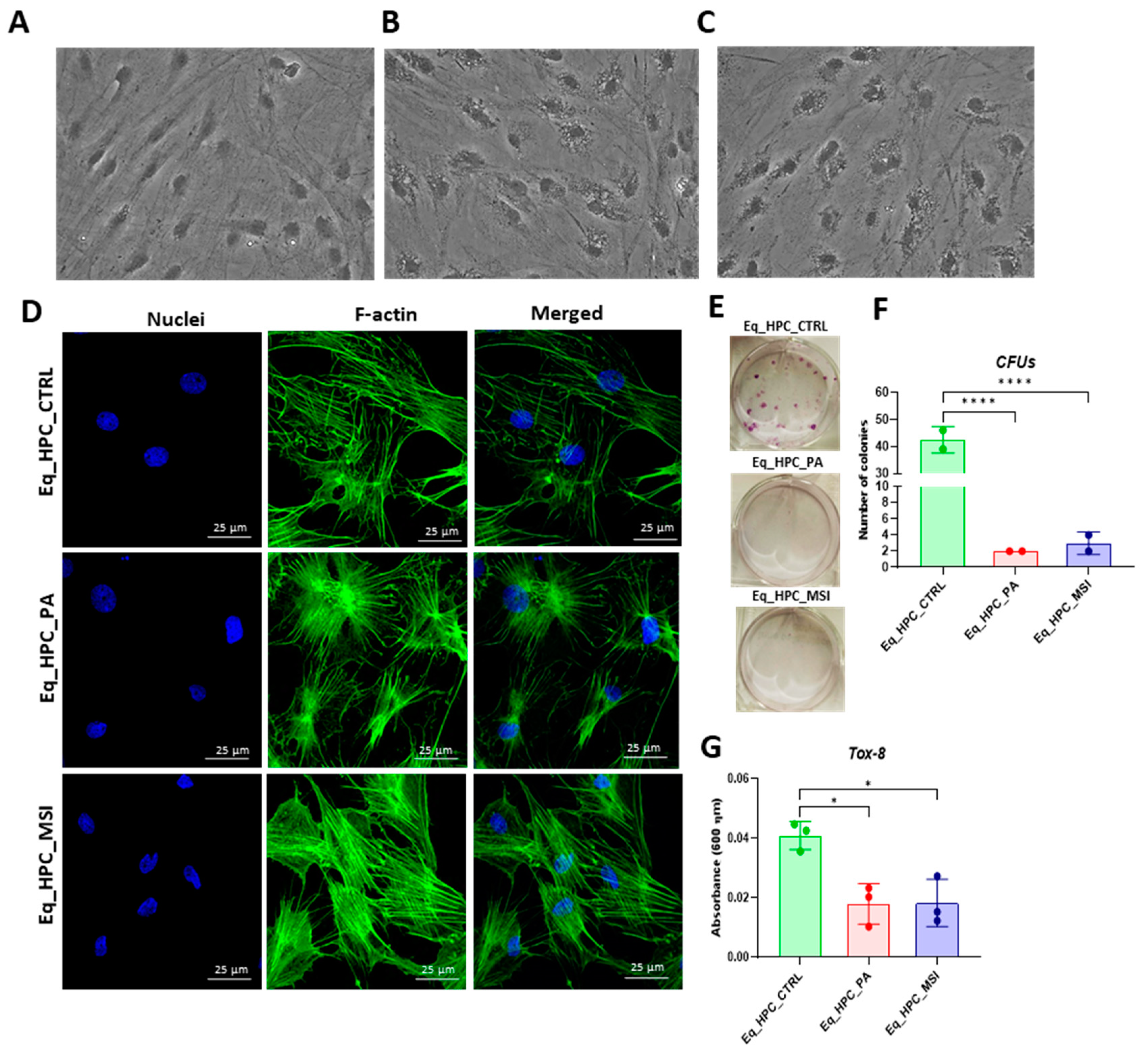 Preprints 78585 g001a