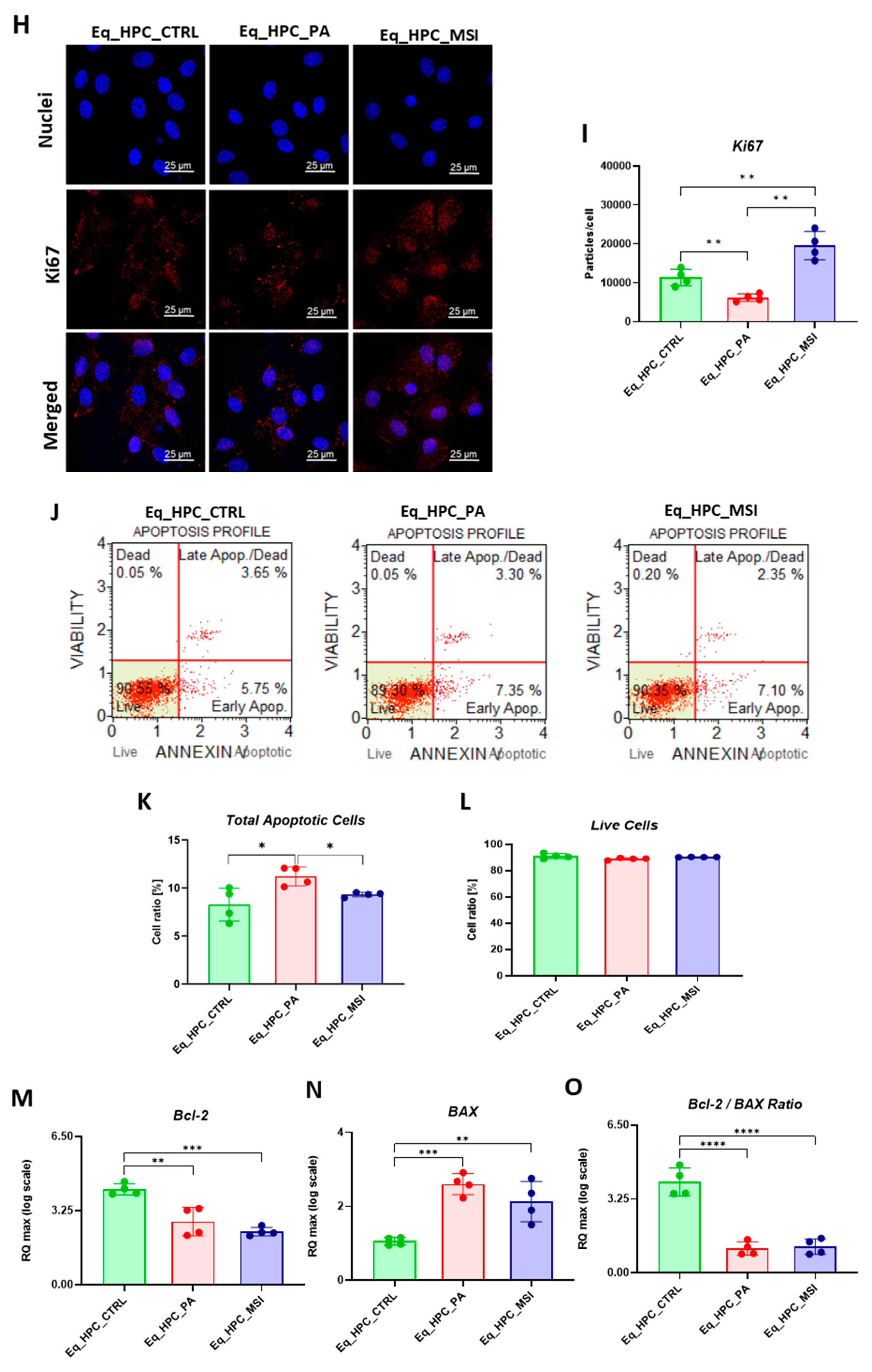 Preprints 78585 g001b