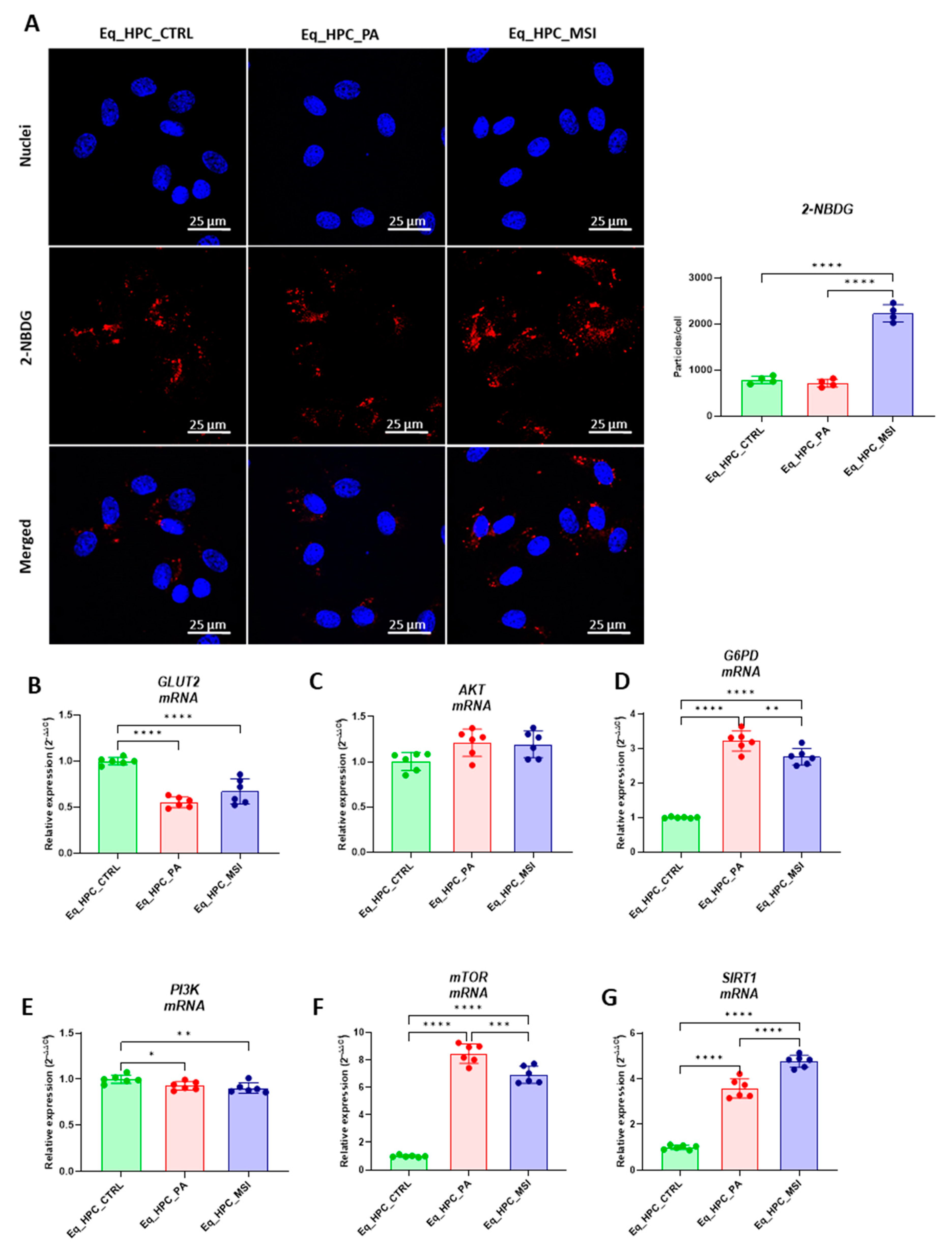 Preprints 78585 g002a