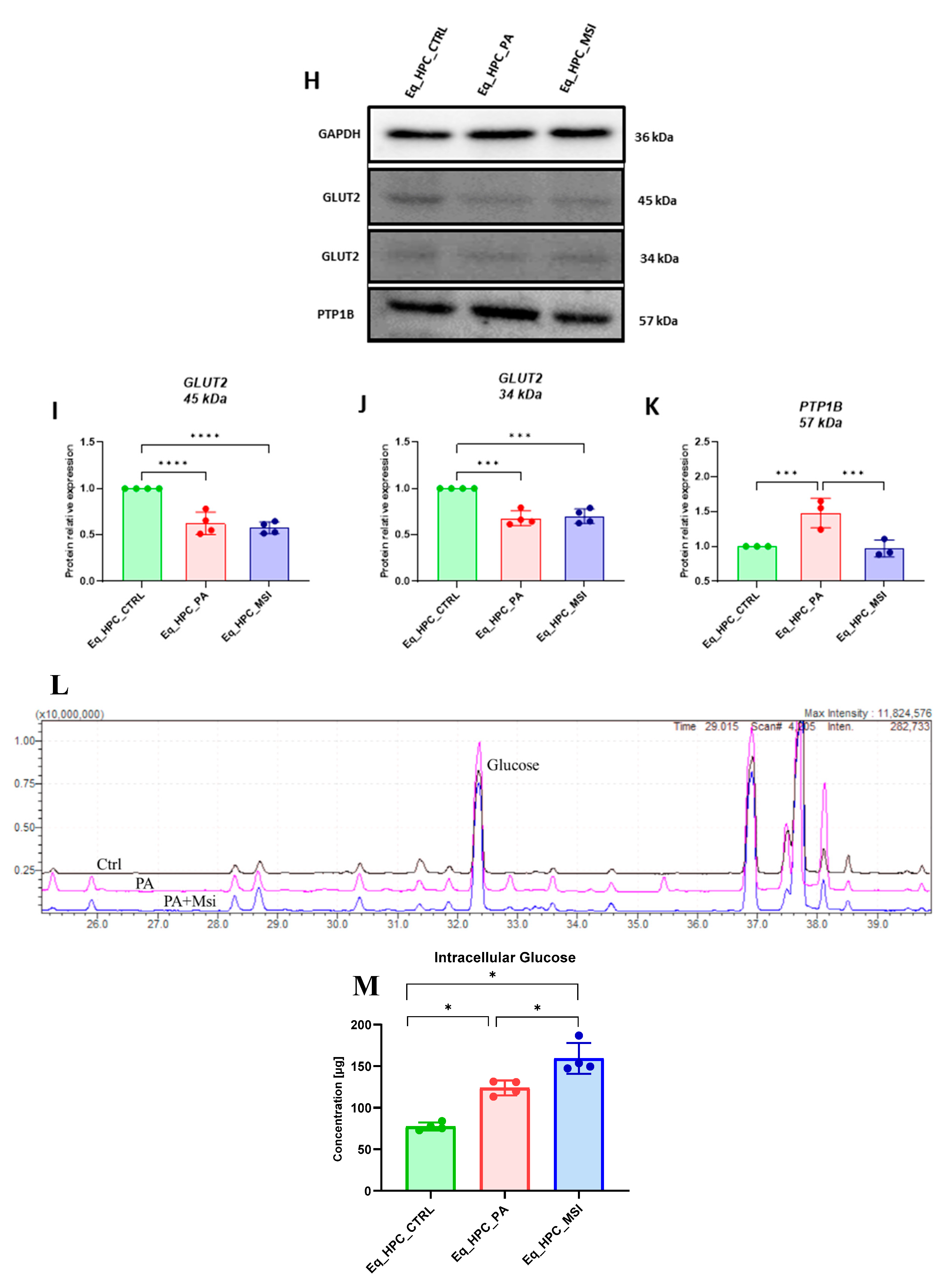 Preprints 78585 g002b