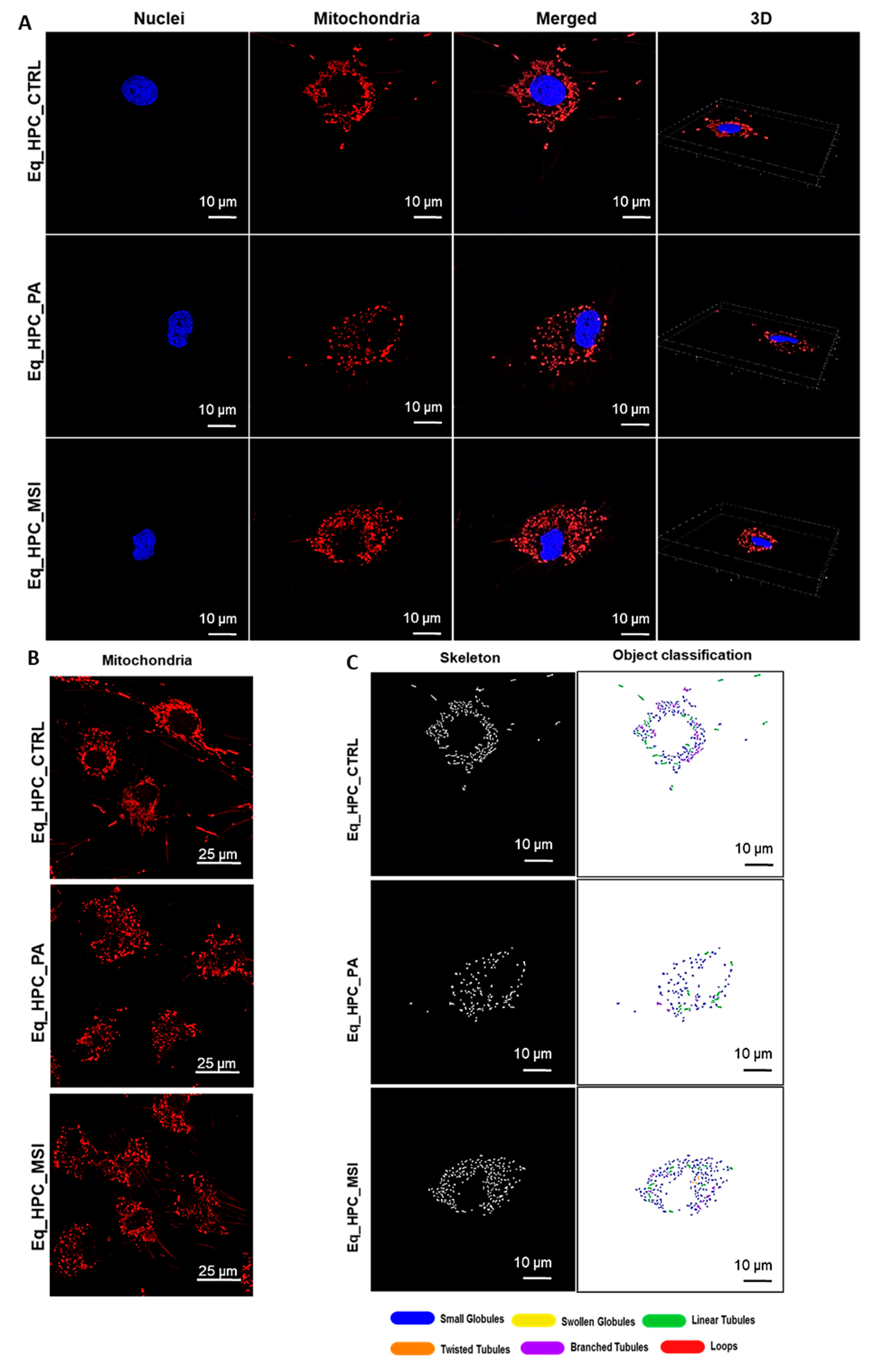 Preprints 78585 g003a