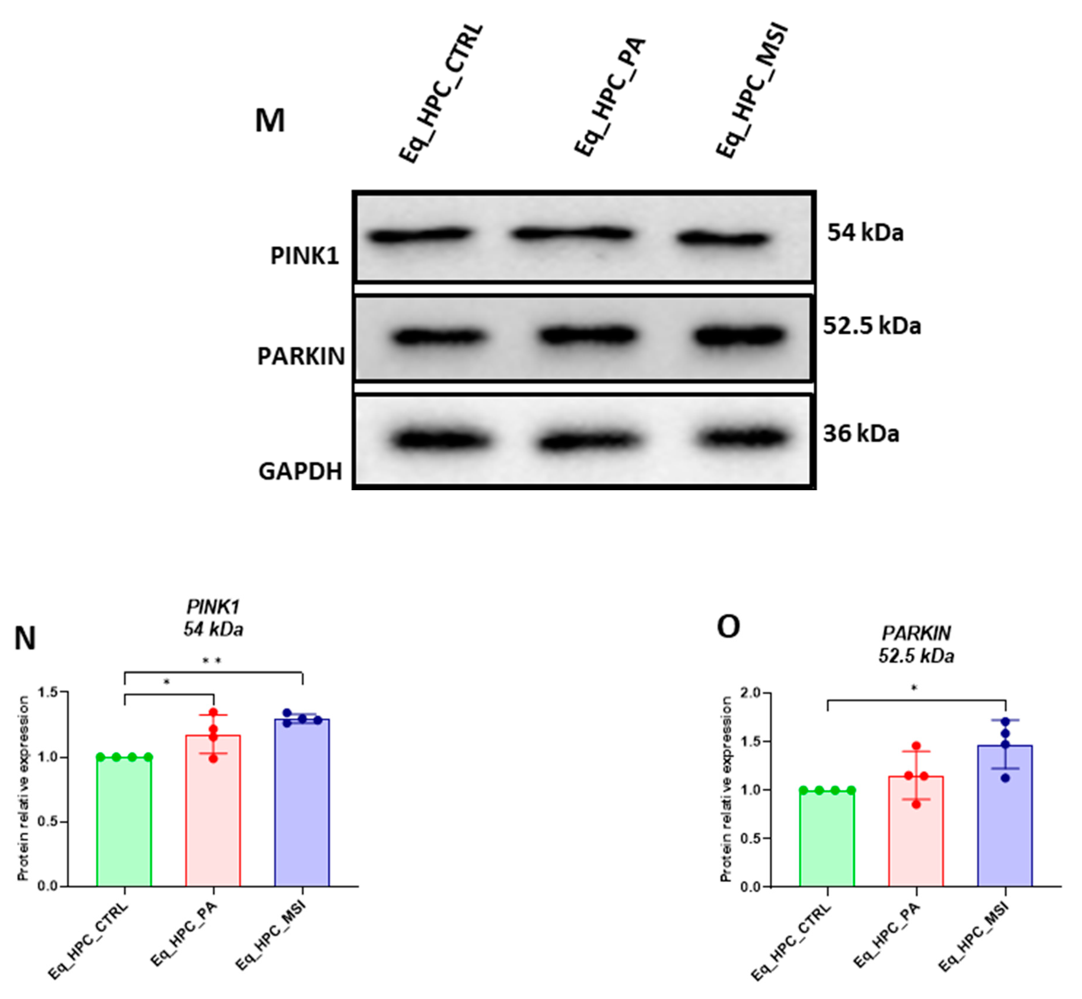 Preprints 78585 g003c