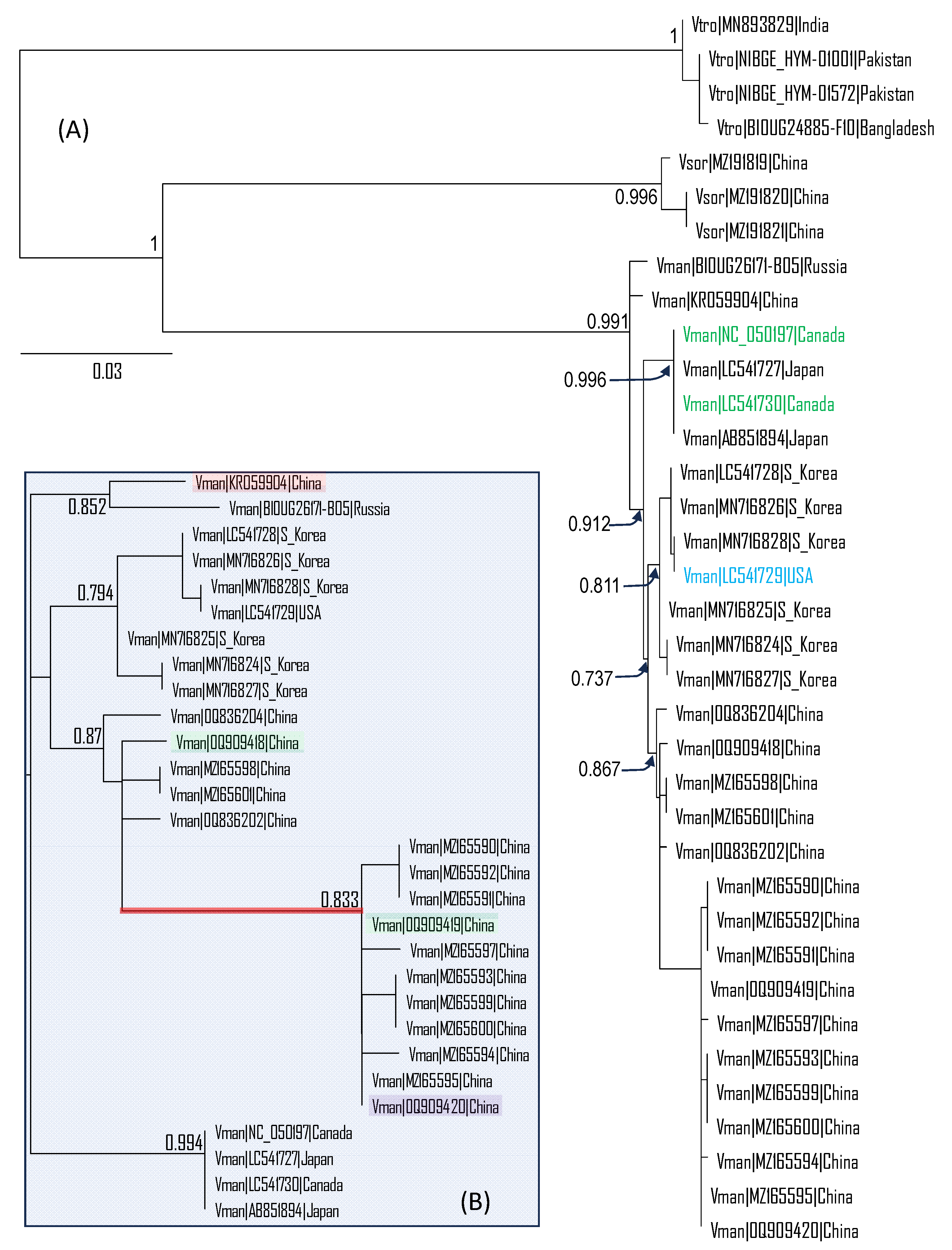 Preprints 95525 g001