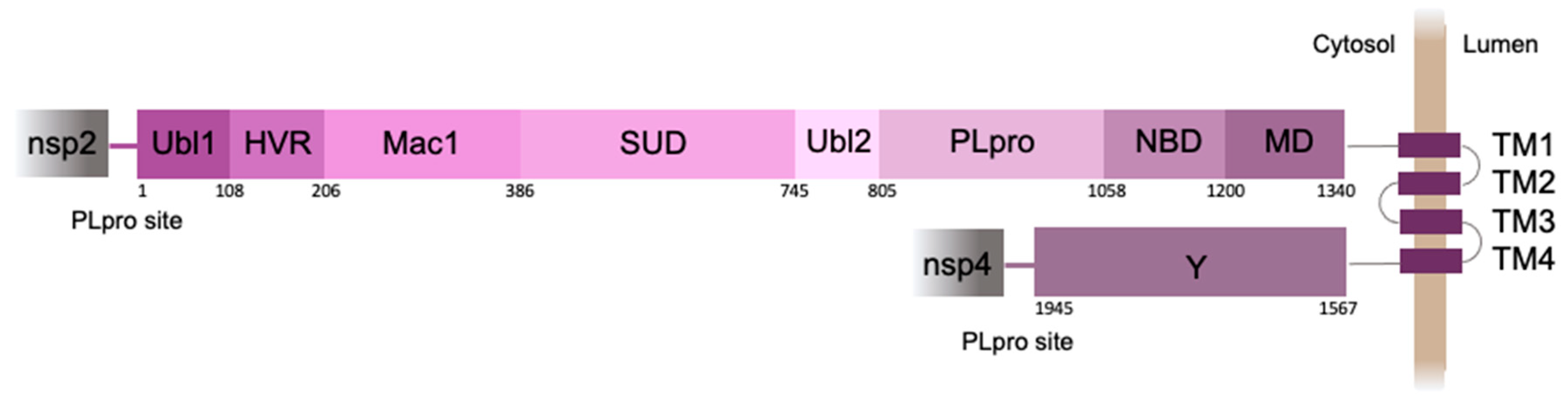 Preprints 106433 g001