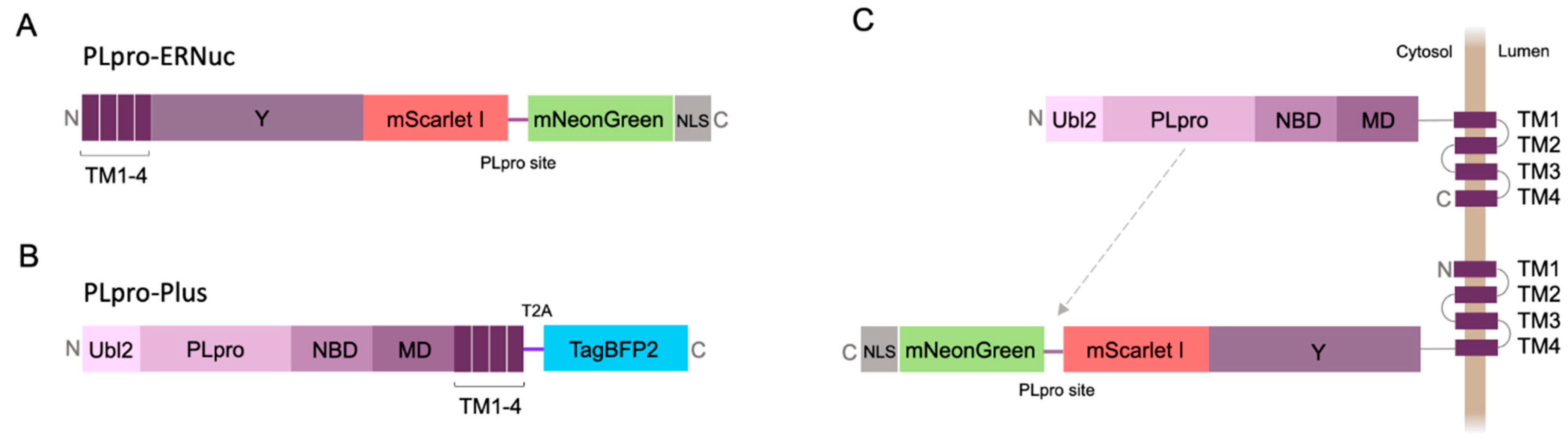 Preprints 106433 g002