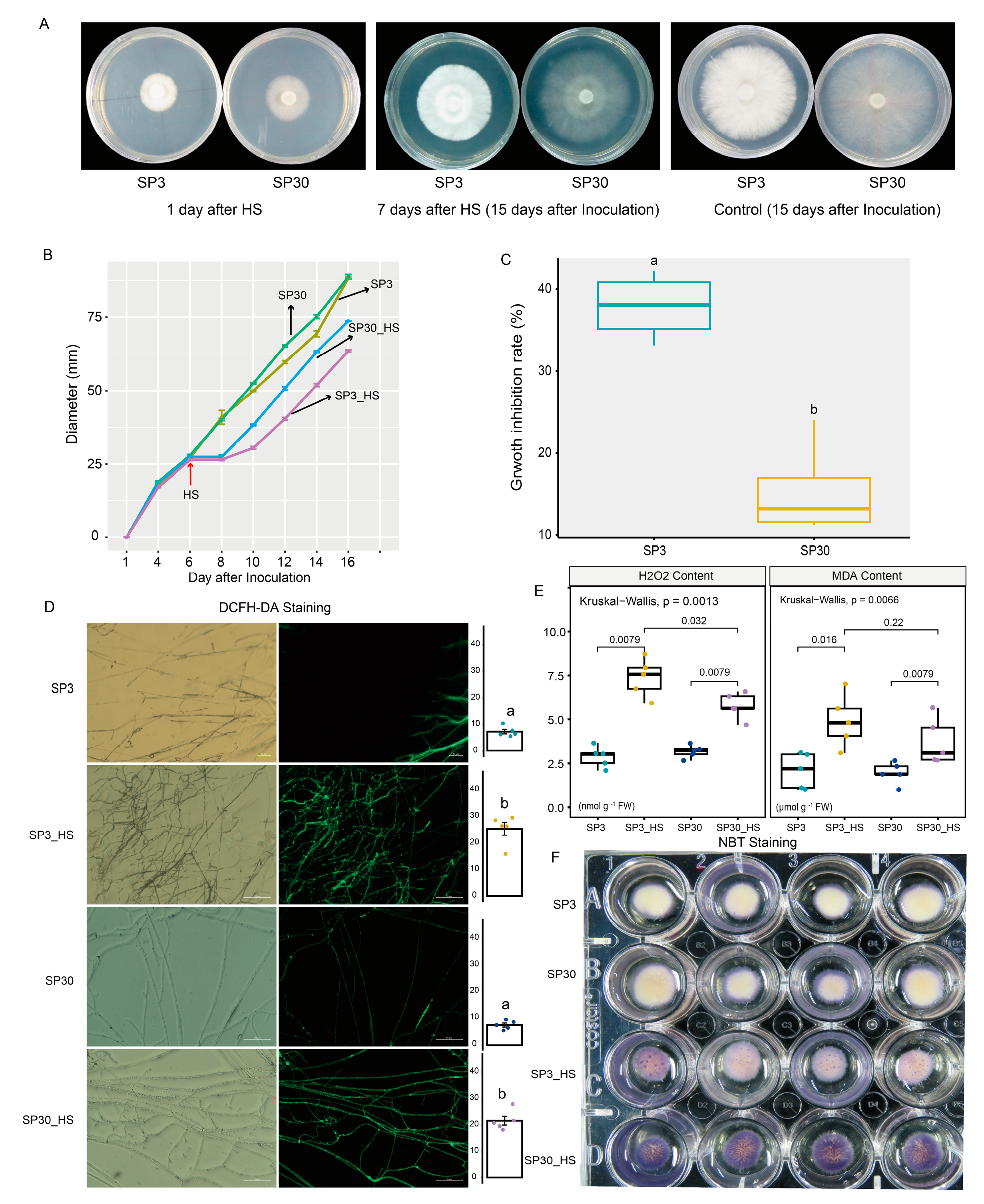 Preprints 137613 g001