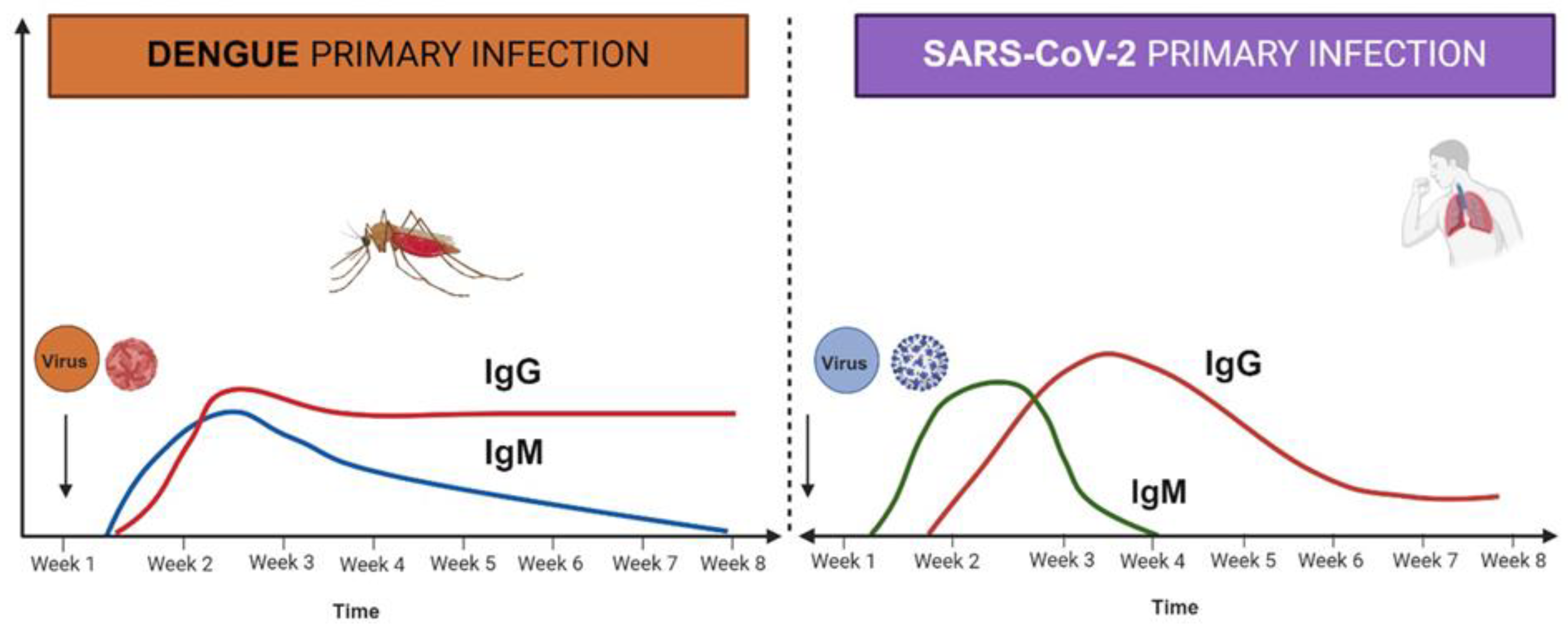 Preprints 119833 g002