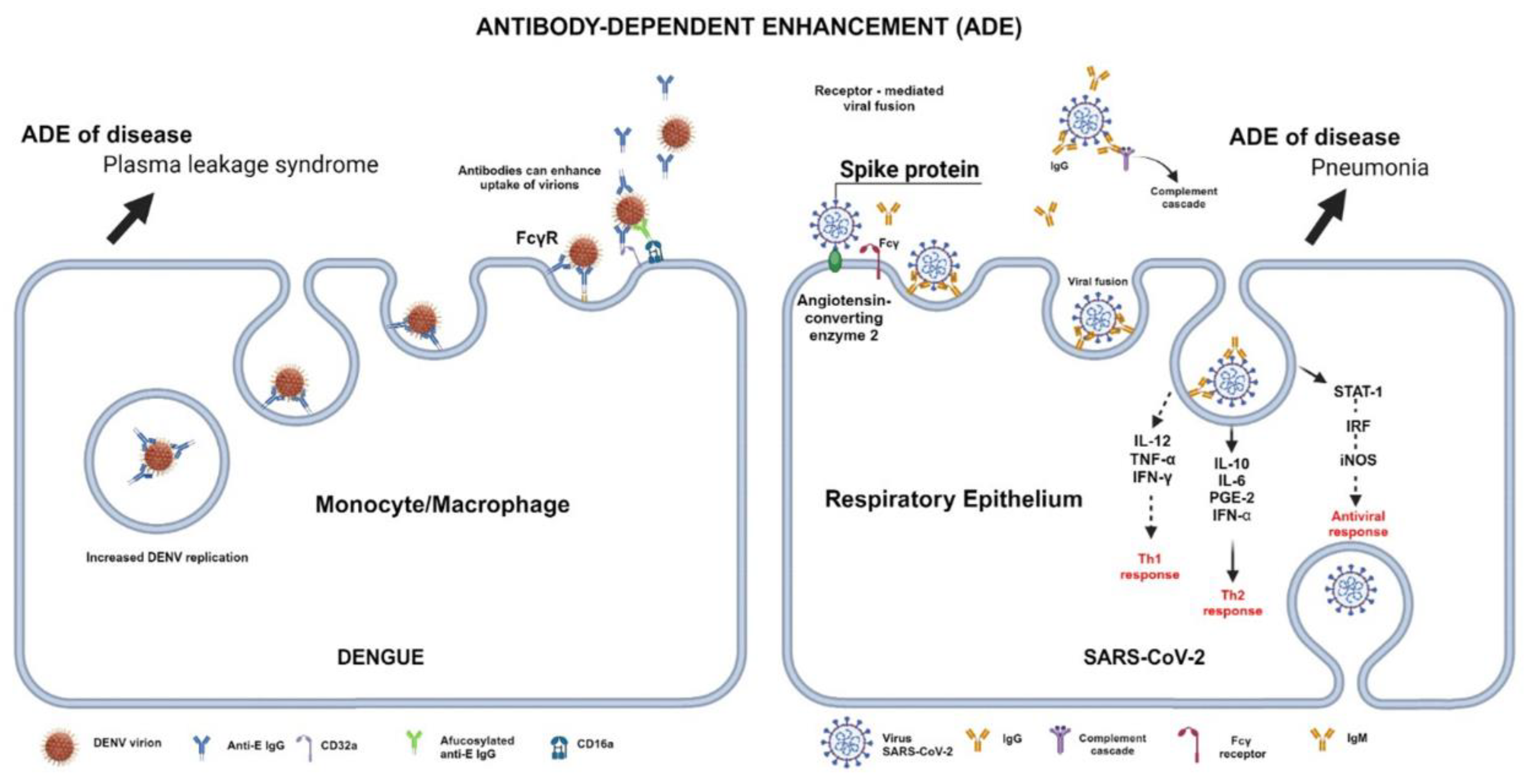 Preprints 119833 g004