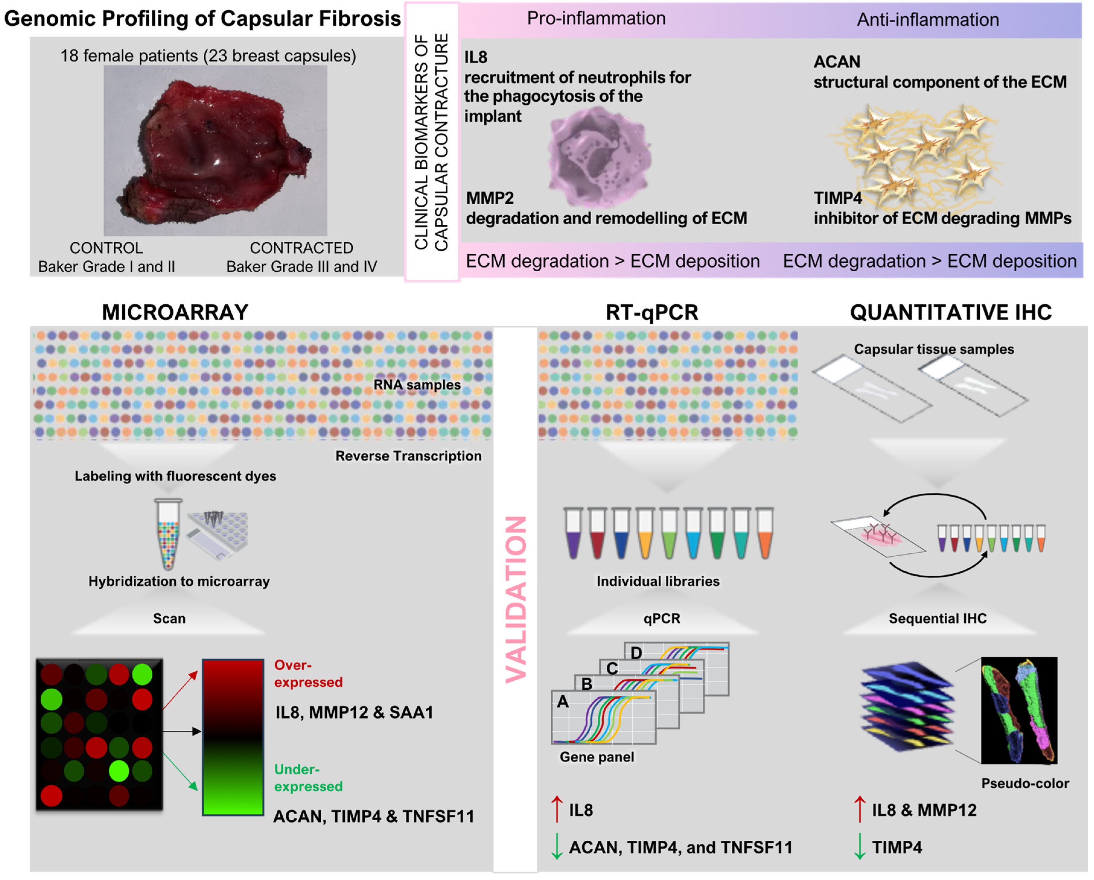 Preprints 120478 g002