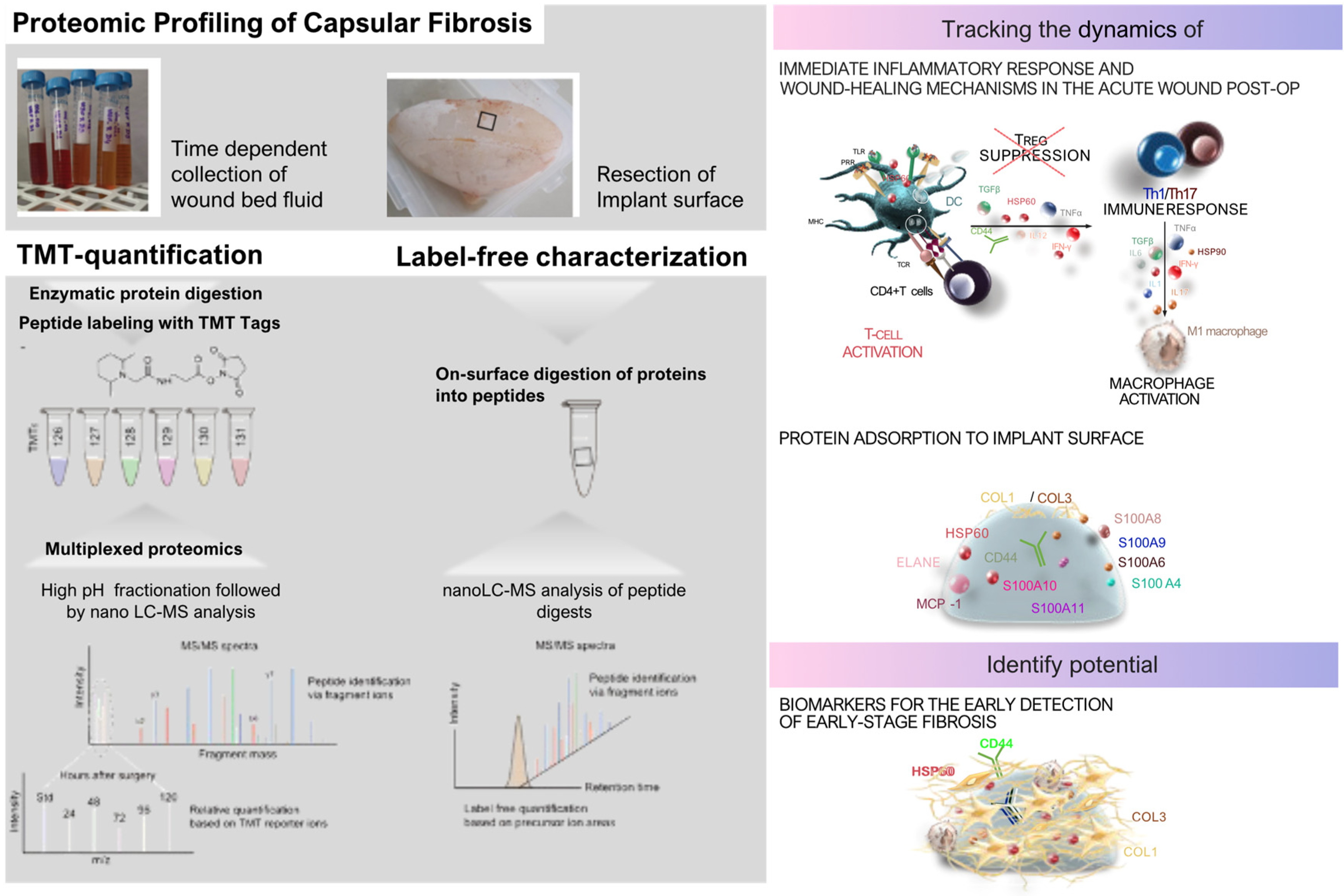 Preprints 120478 g003