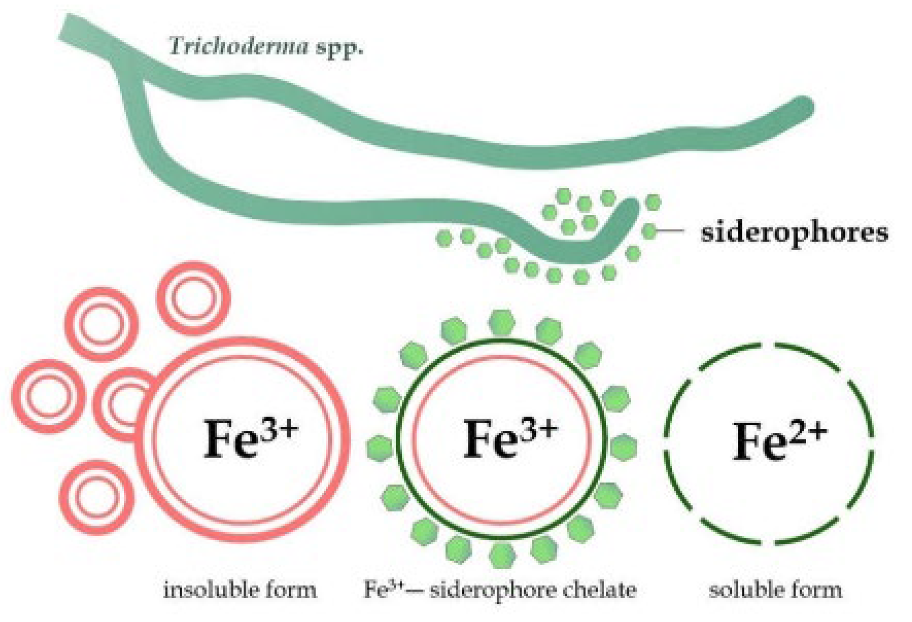 Preprints 106867 g001