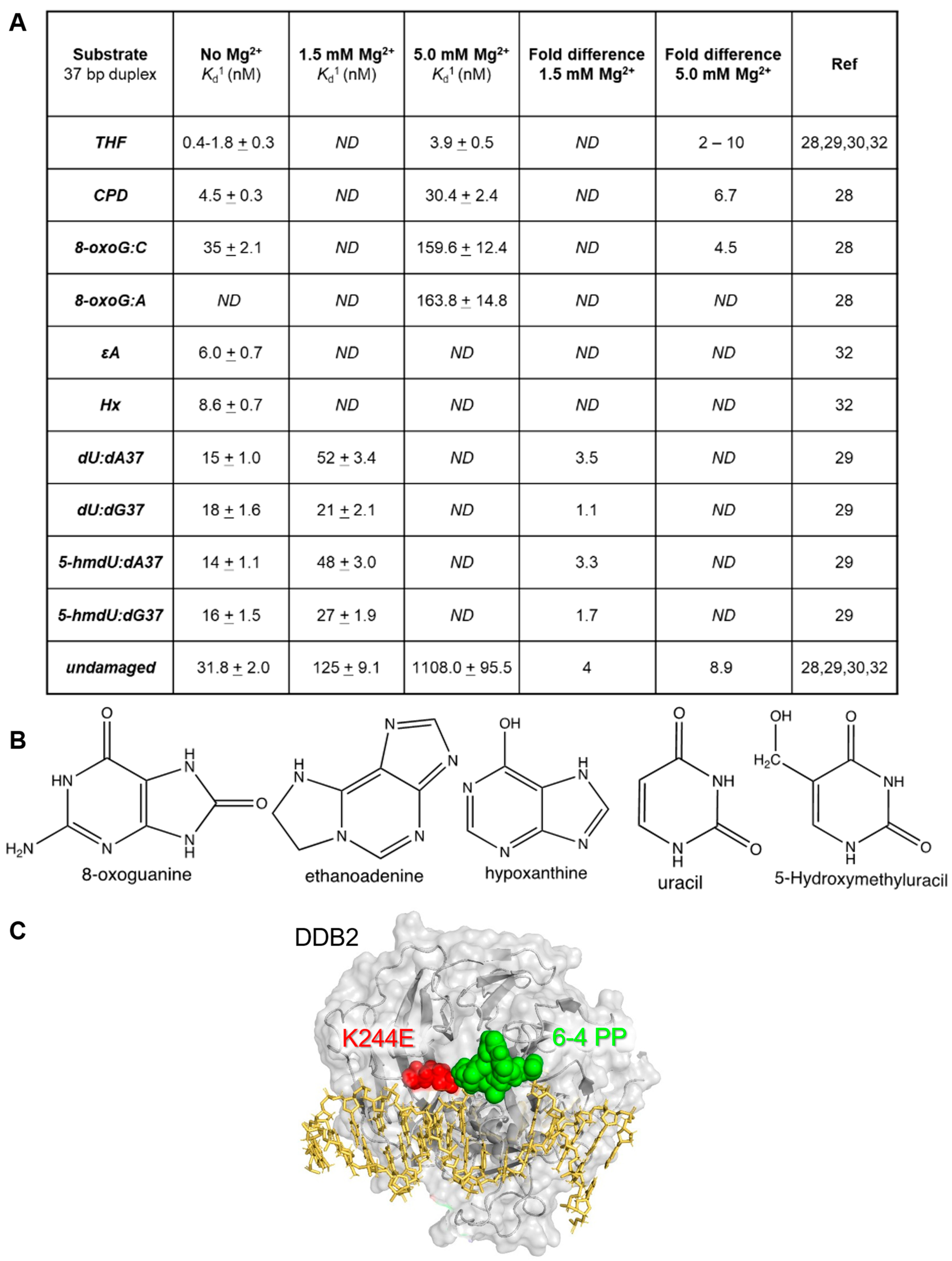 Preprints 74948 g001