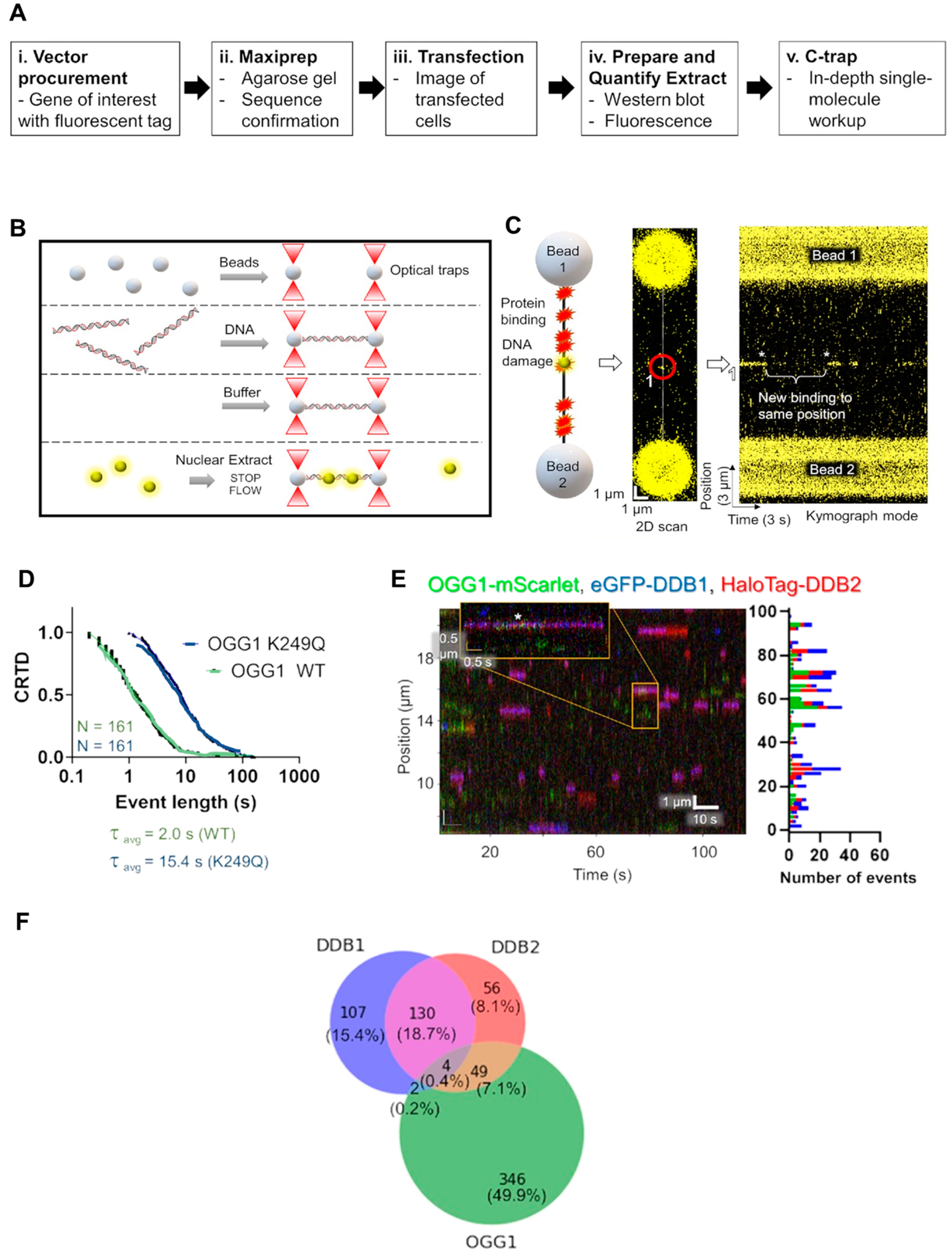 Preprints 74948 g003