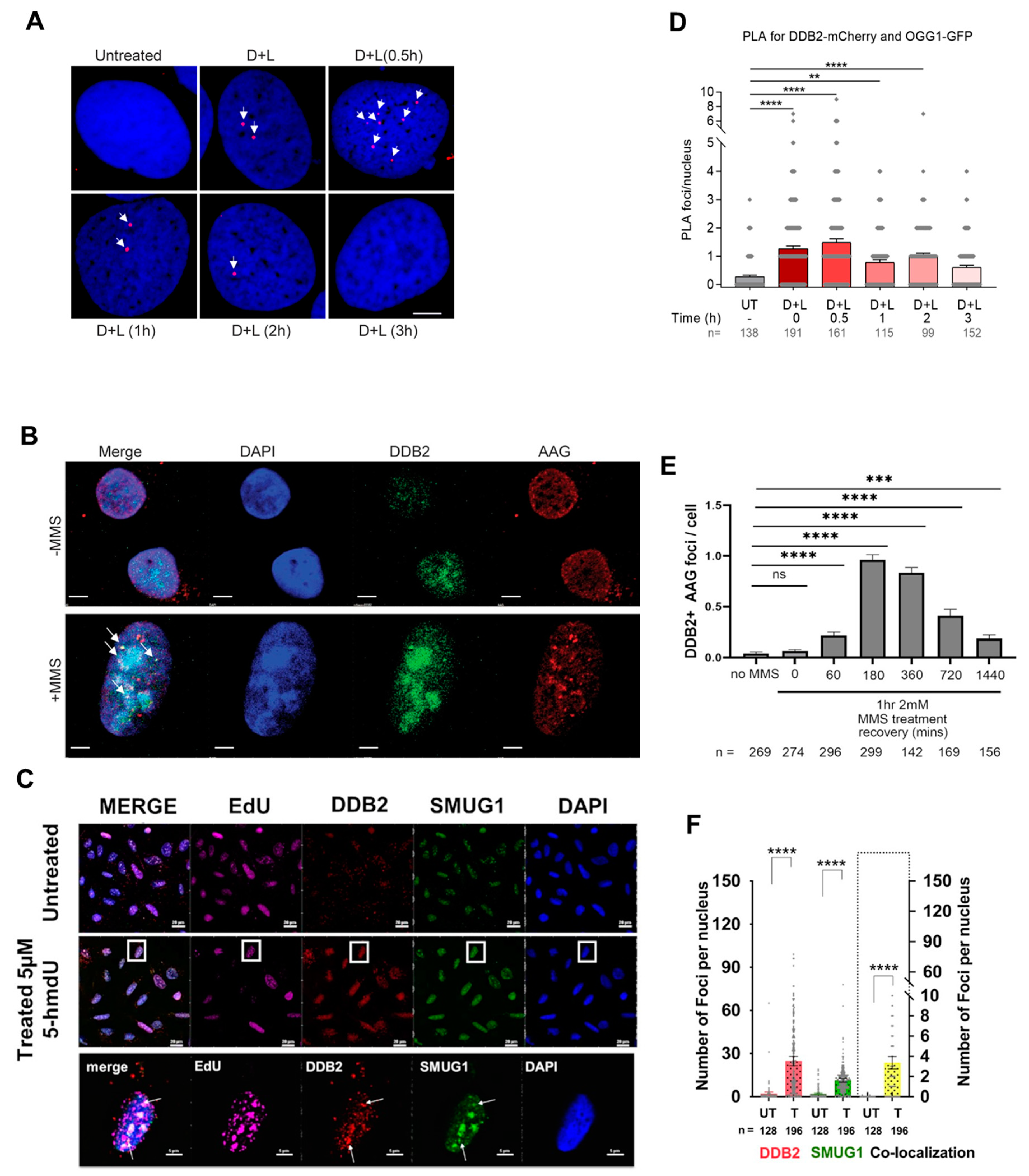 Preprints 74948 g004