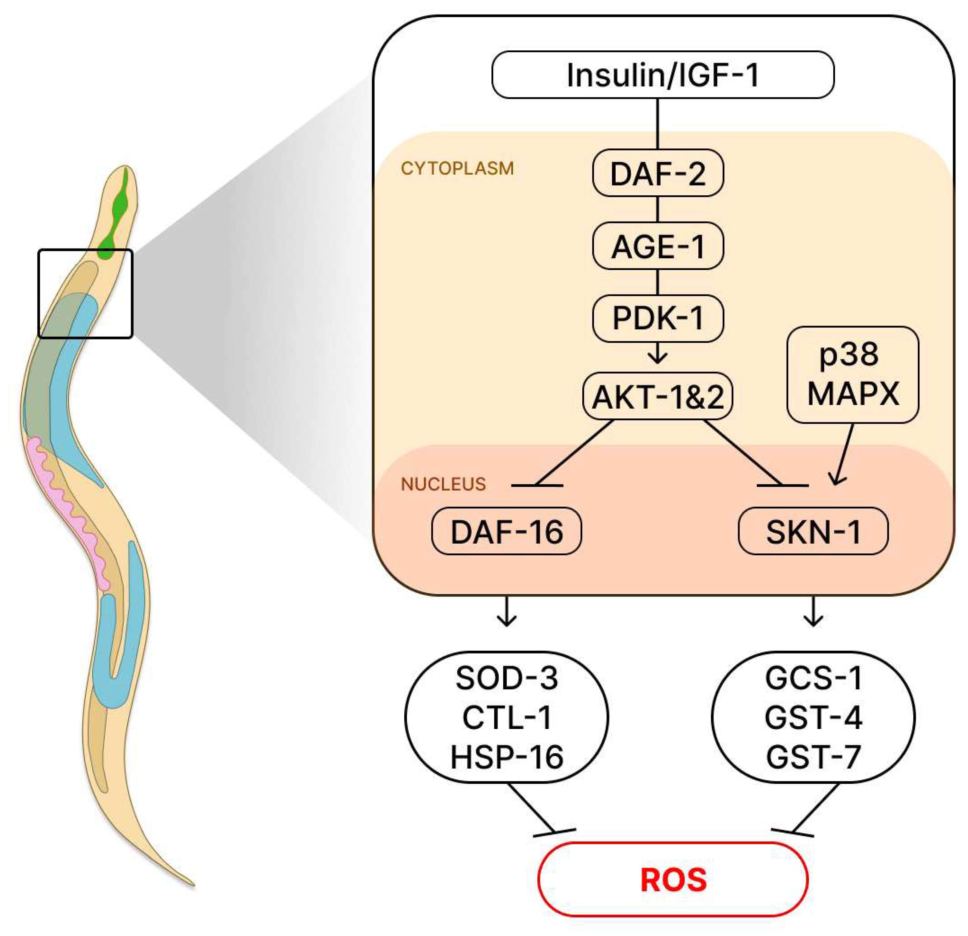 Preprints 85836 g006