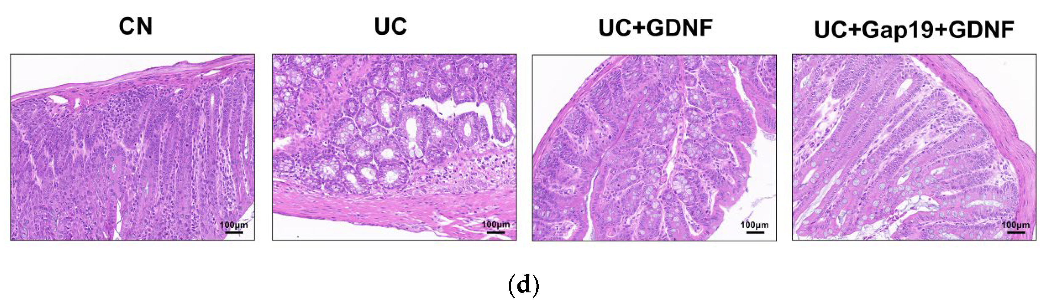 Preprints 113170 g001b