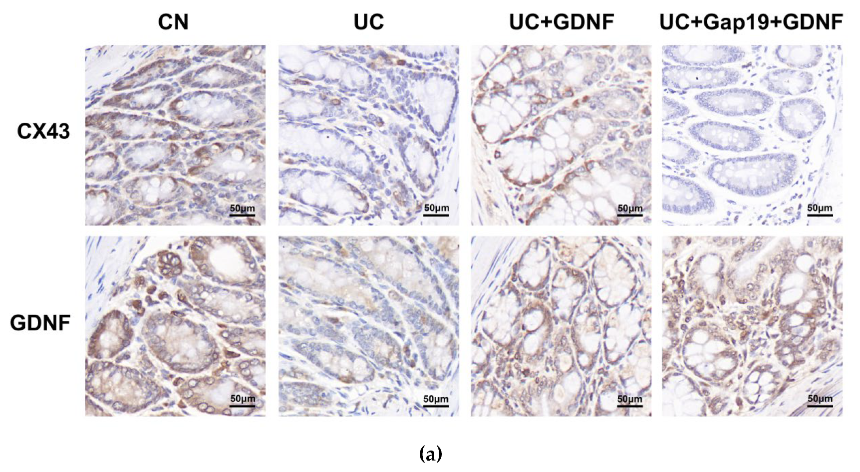 Preprints 113170 g005a