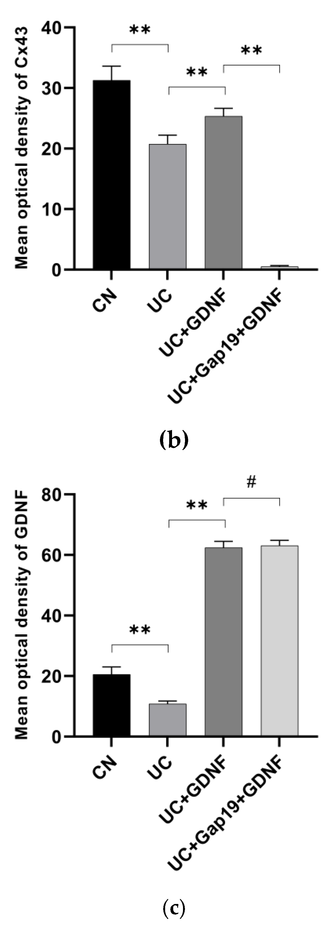 Preprints 113170 g005b