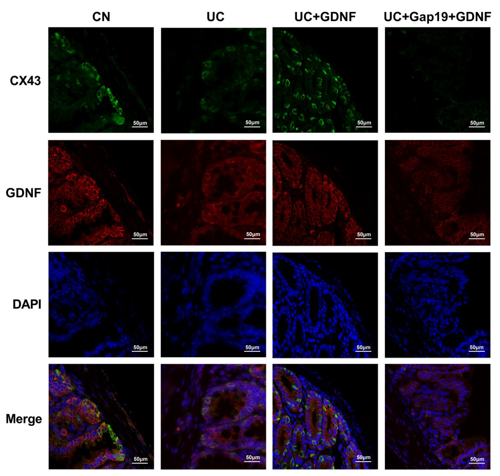 Preprints 113170 g006