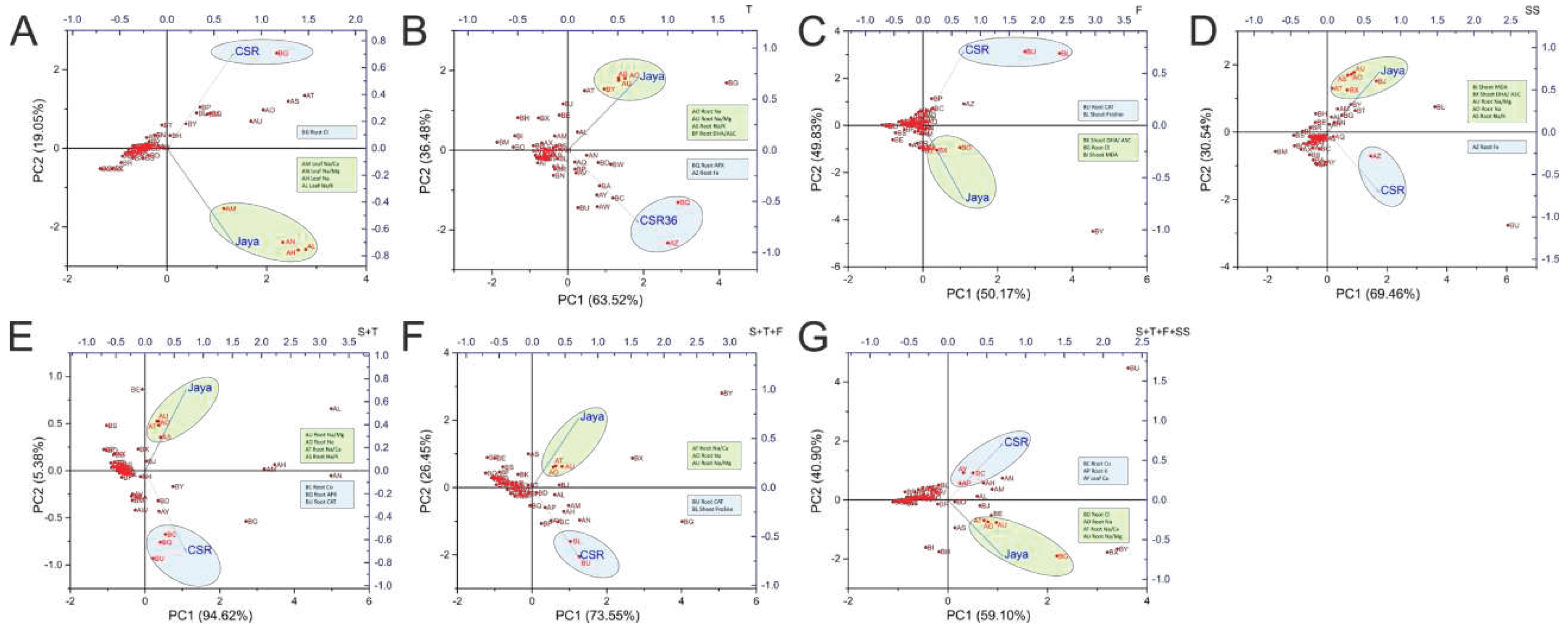 Preprints 96479 g007