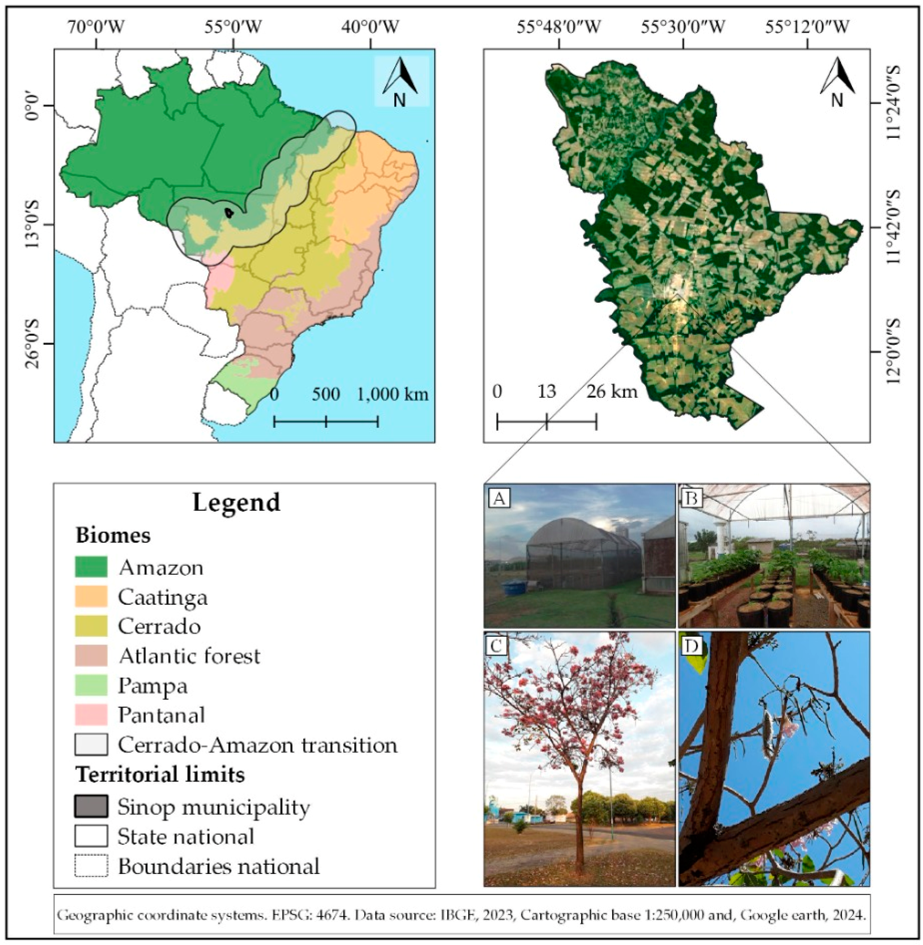 Preprints 115823 g001