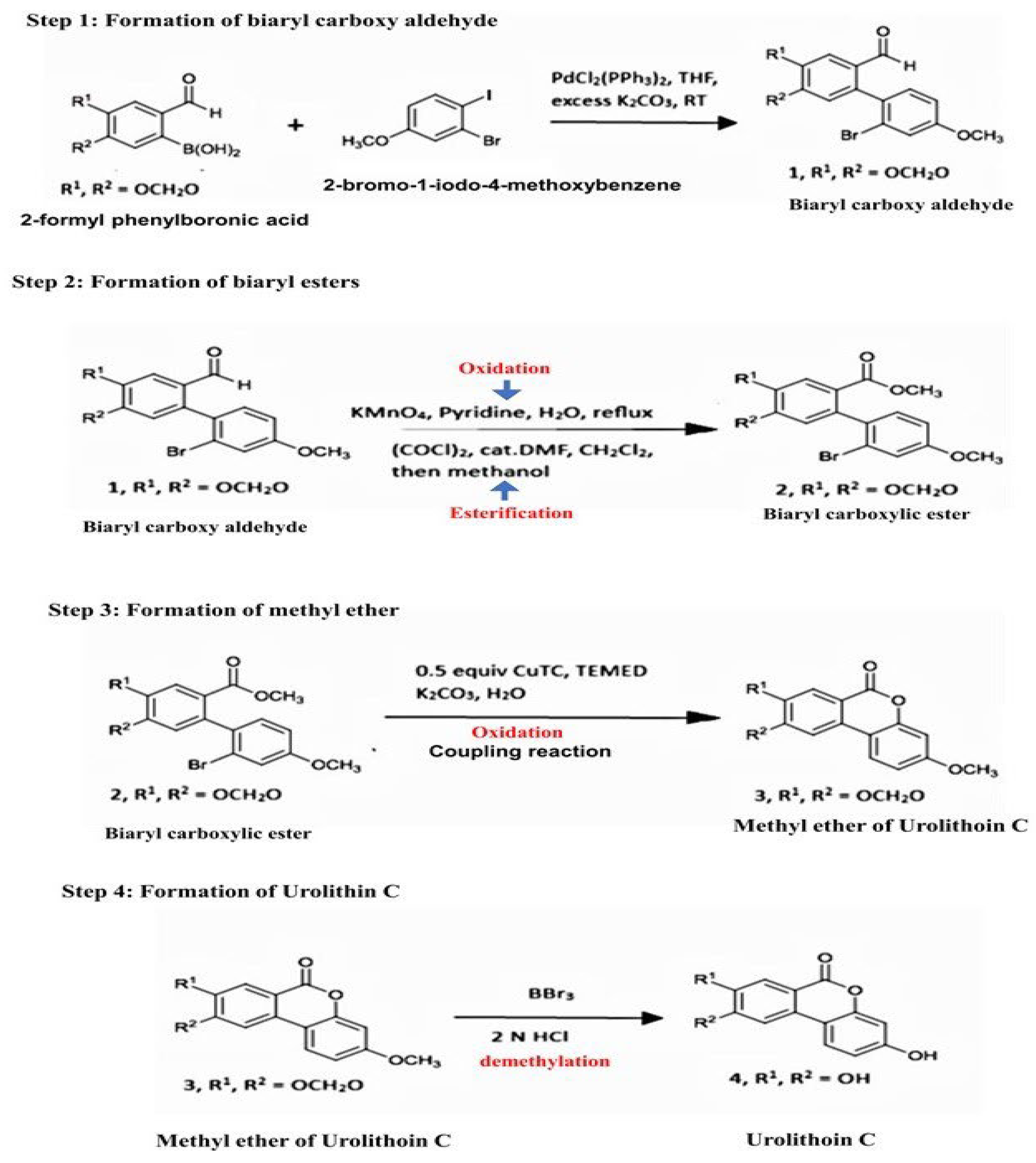 Preprints 122120 g001