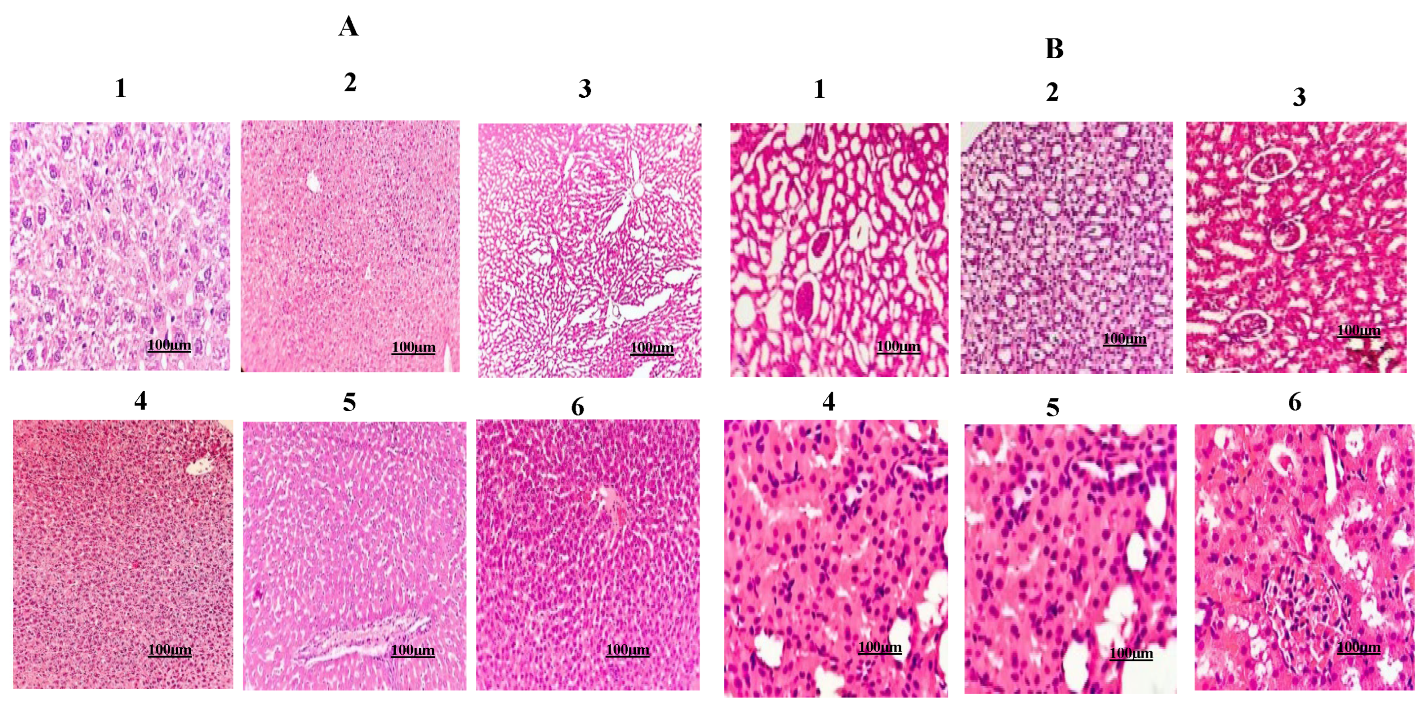 Preprints 122120 g011