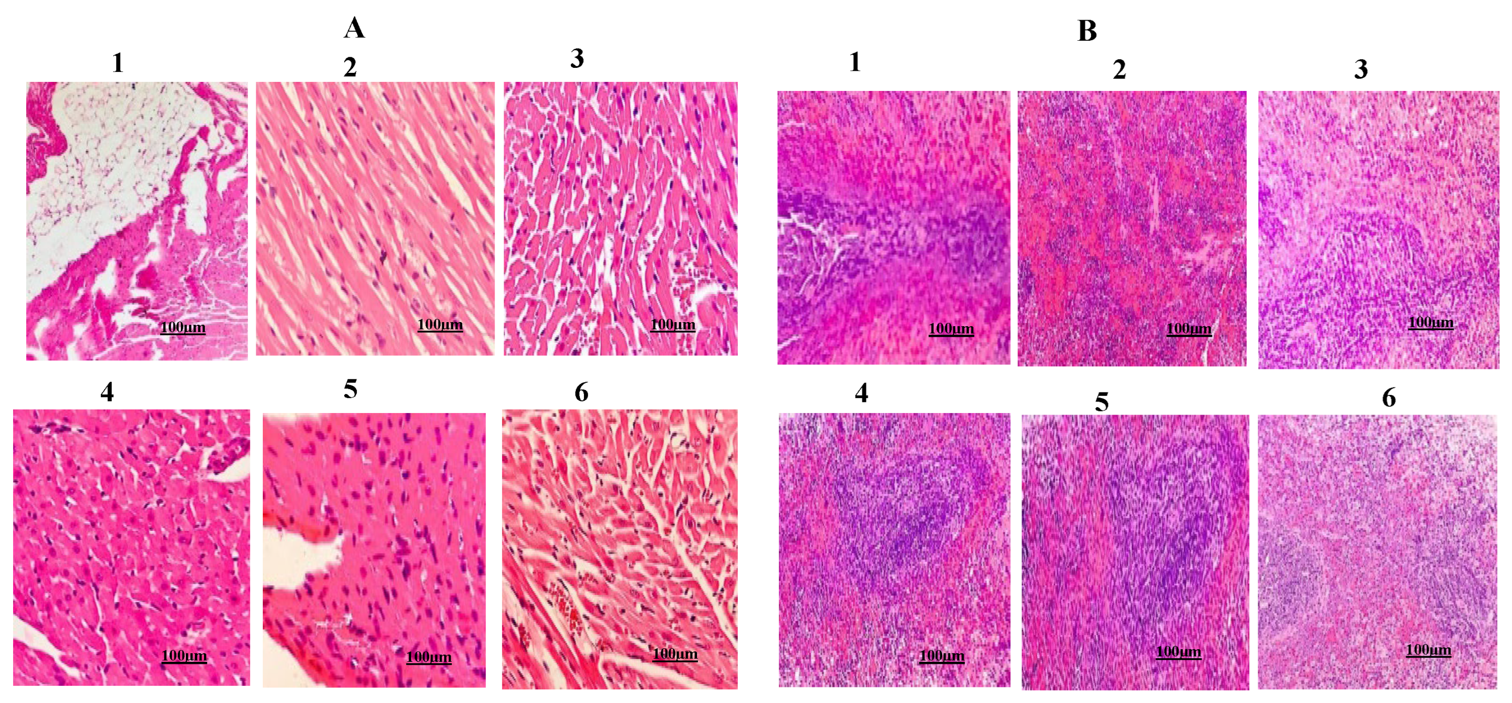 Preprints 122120 g012