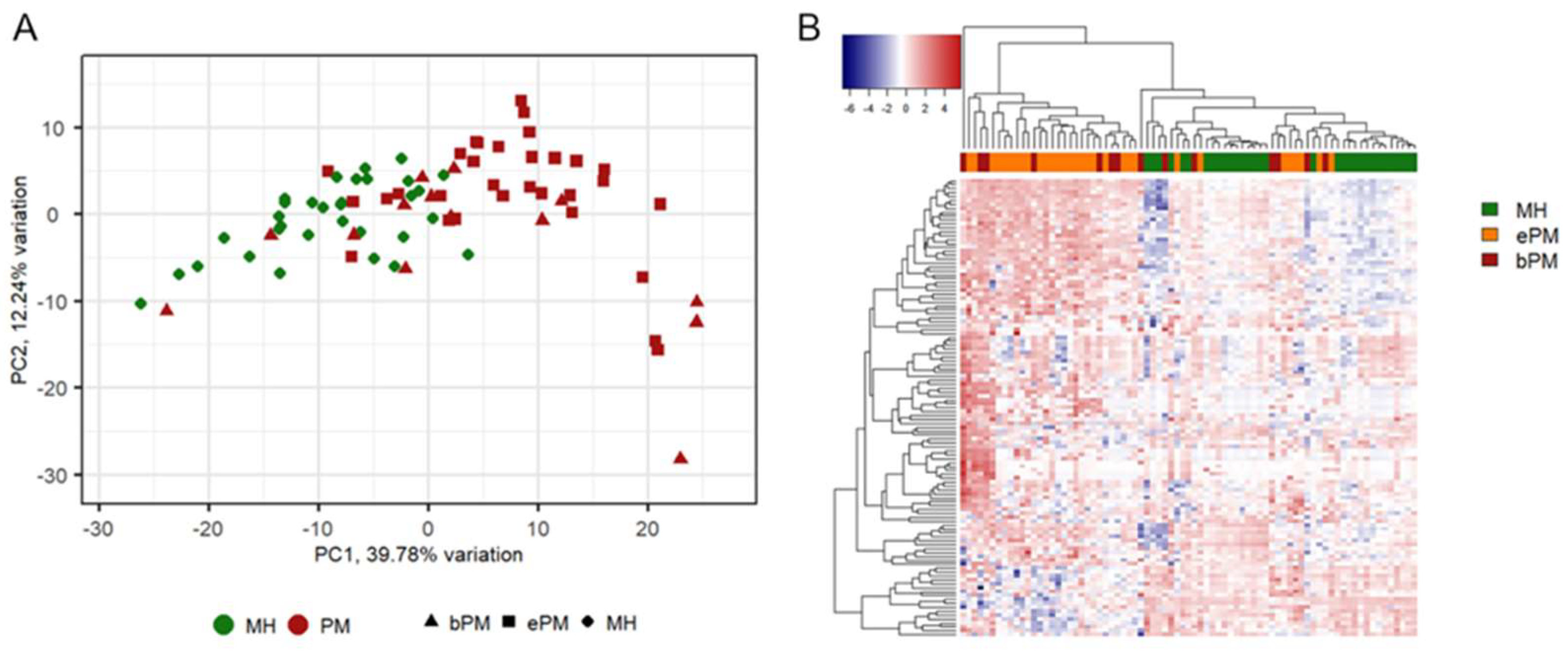 Preprints 85551 g002