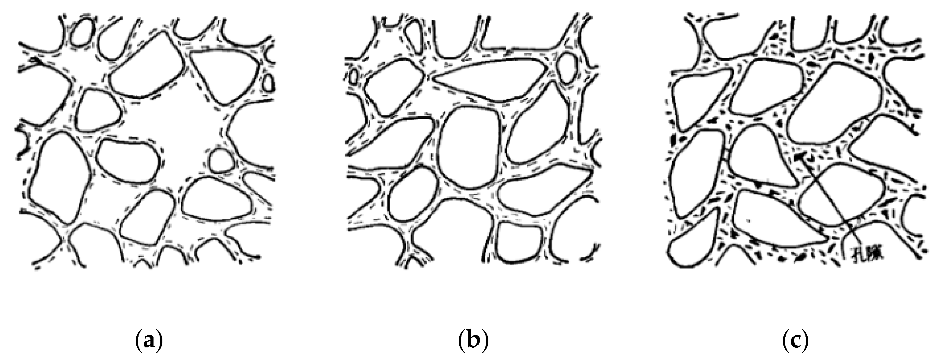 Preprints 103701 g006