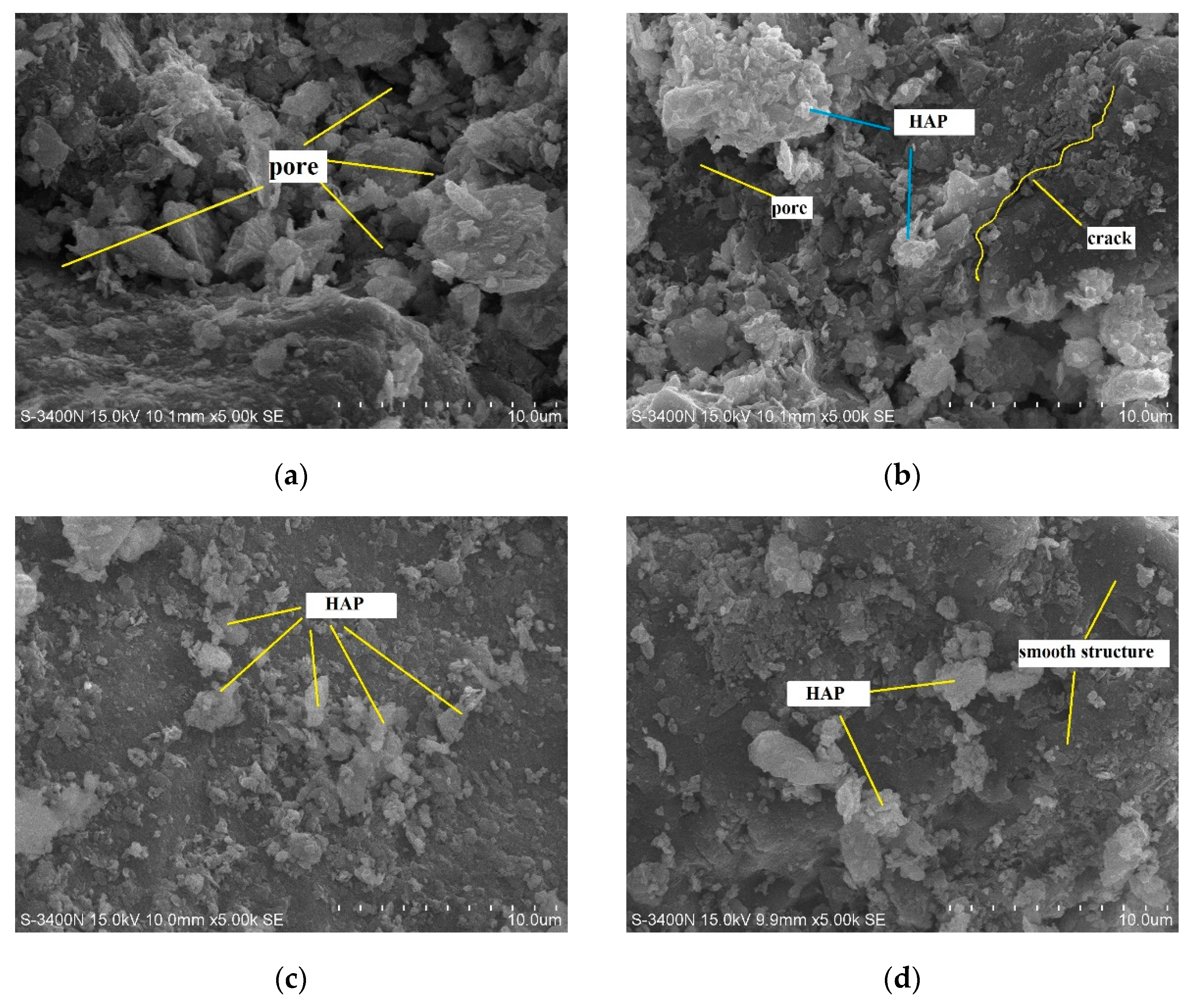 Preprints 103701 g008