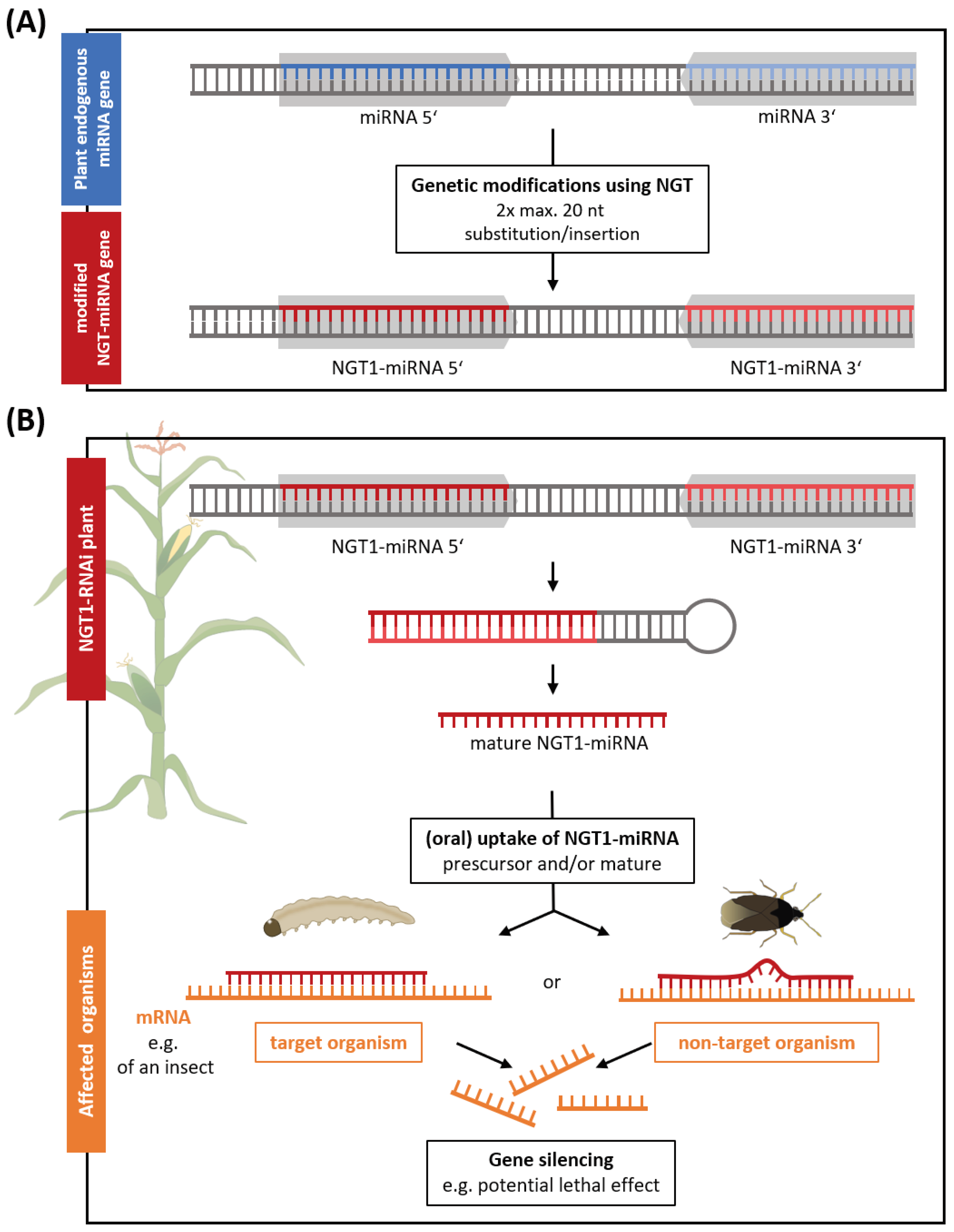 Preprints 91780 g002