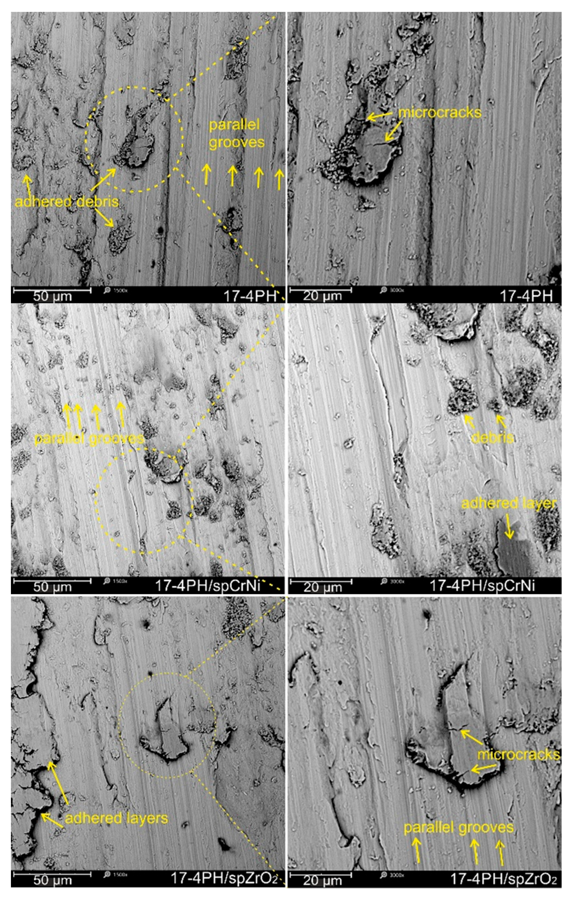 Preprints 98562 g009